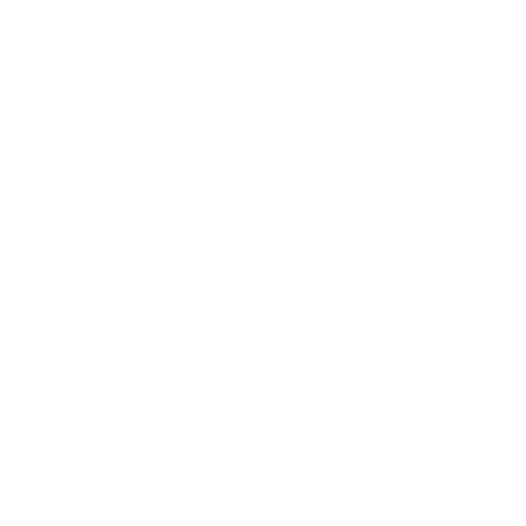 Outline drawing of a pair of pliers