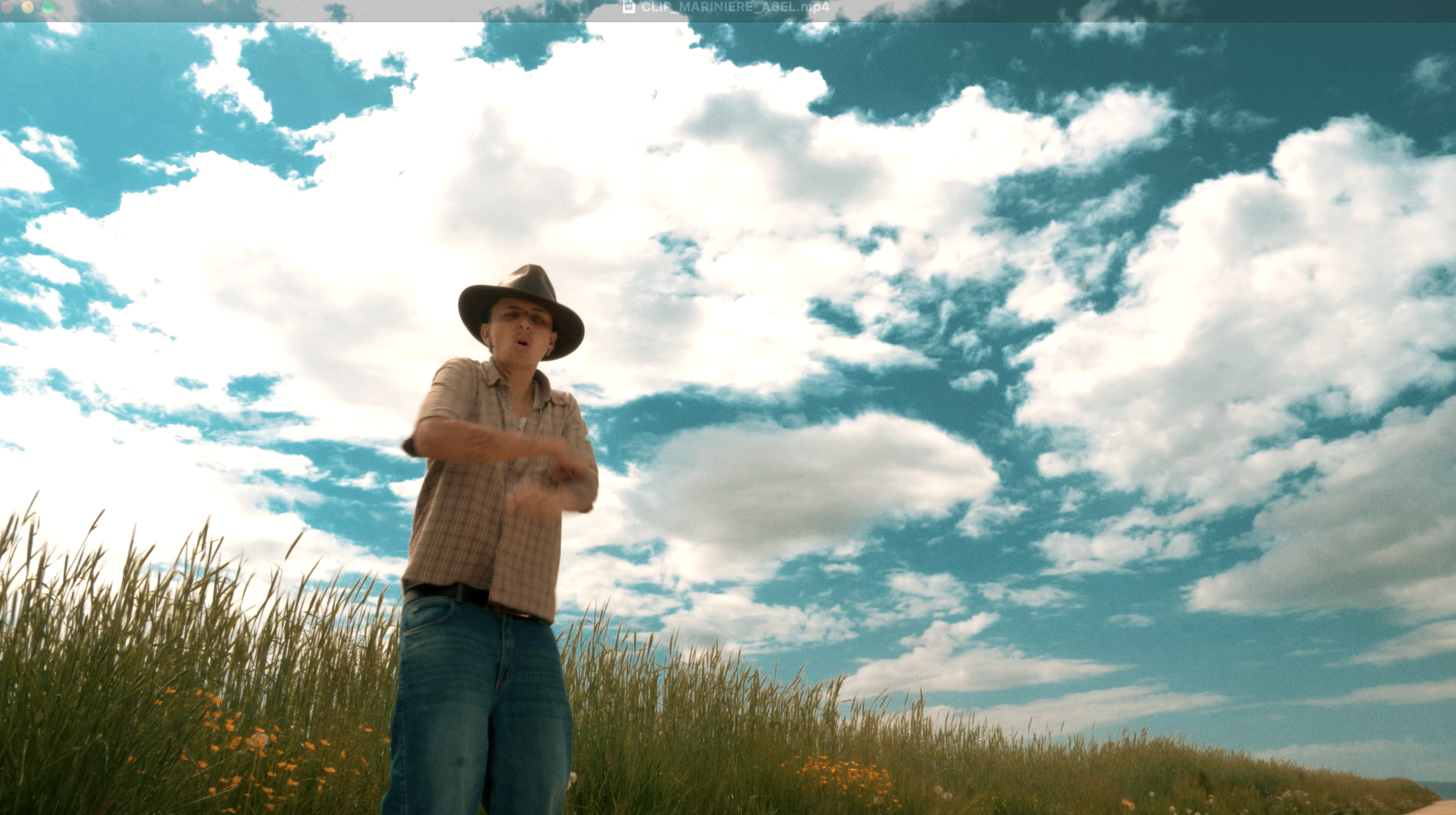 Homme avec chapeau dans un champ, ciel nuageux.