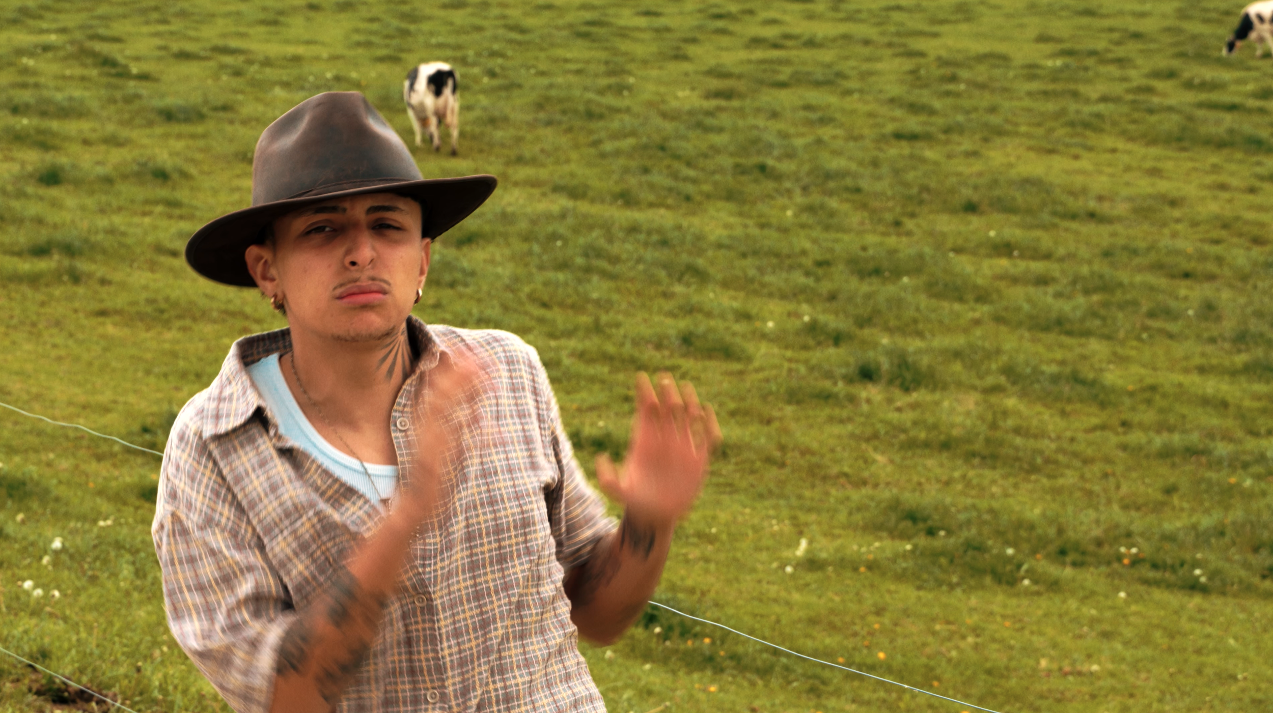 Personne portant un chapeau dans un champ avec des vaches en arrière-plan.