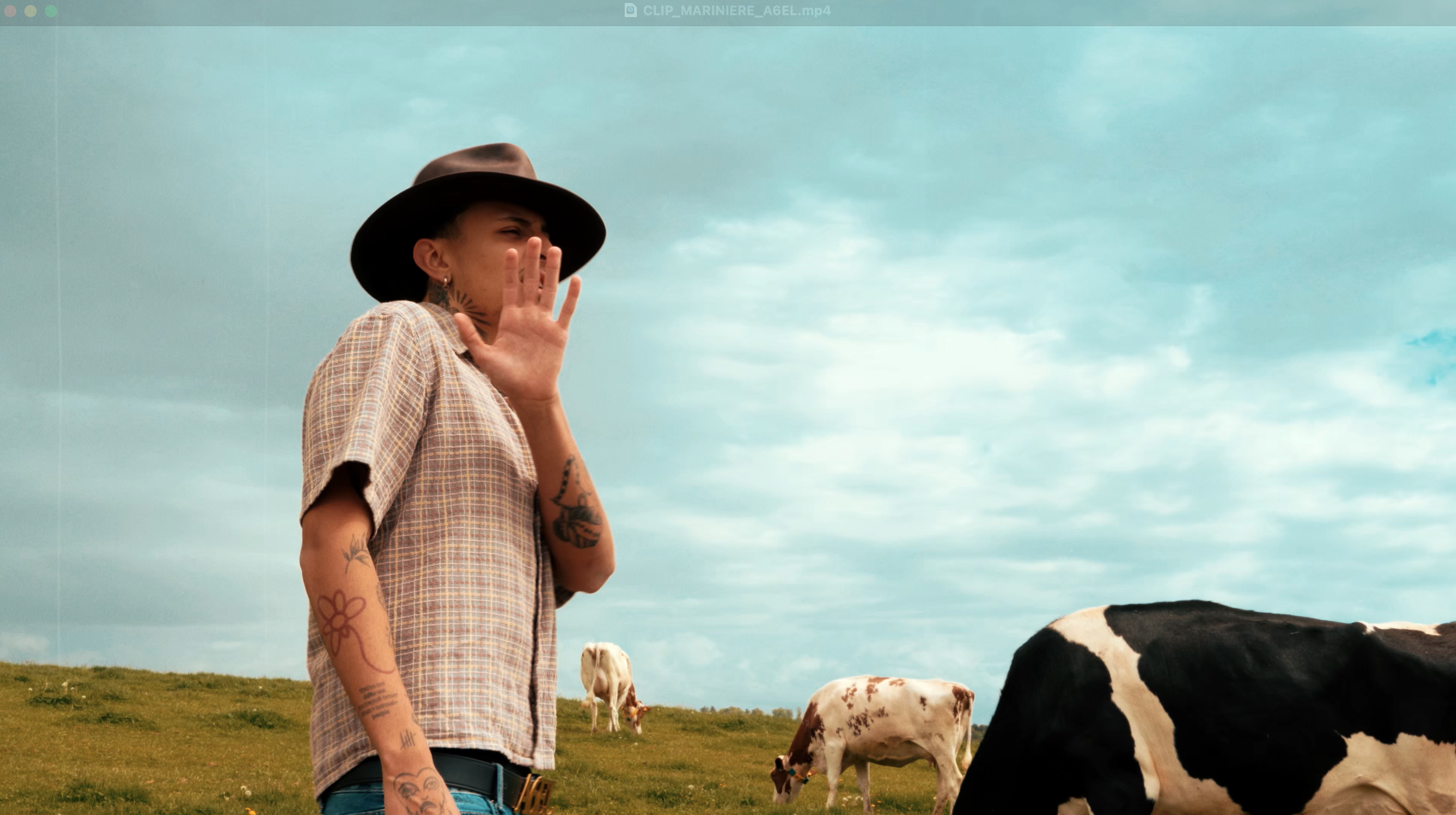 Personne avec un chapeau de cow-boy et des tatouages, debout dans un champ avec des vaches en arrière-plan sous un ciel bleu nuageux.