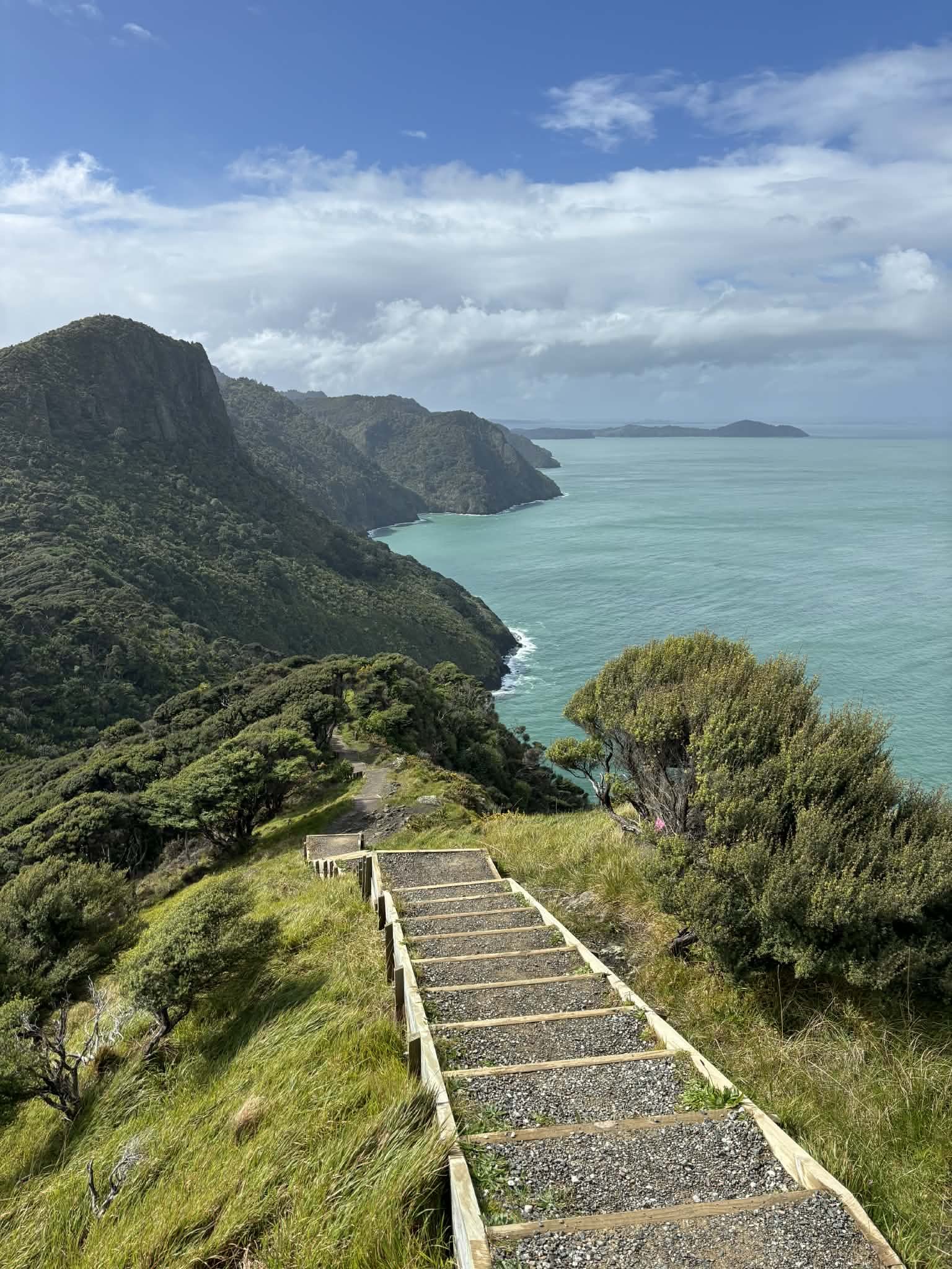 Full Metabolic Panel