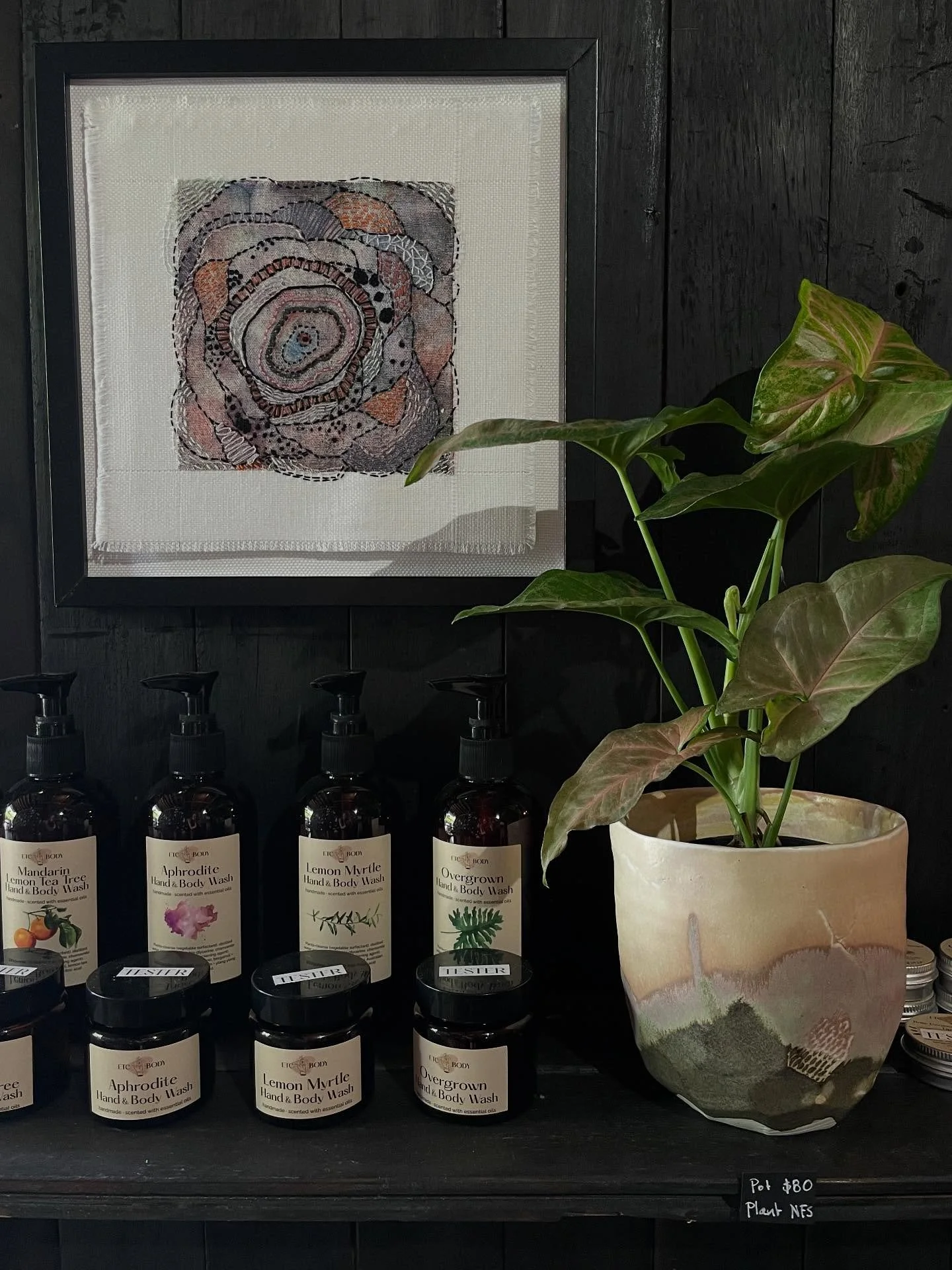 I&rsquo;ve had fun selecting plants for some of my pots, sitting pretty amongst the treasures in @thewrapup.bris 

I&rsquo;m hosting to shop until 4pm today and we&rsquo;ll be here  until Dec 21st. (Wed -Fri 12-4 &amp; 10-4 on the weekends) 

#popups