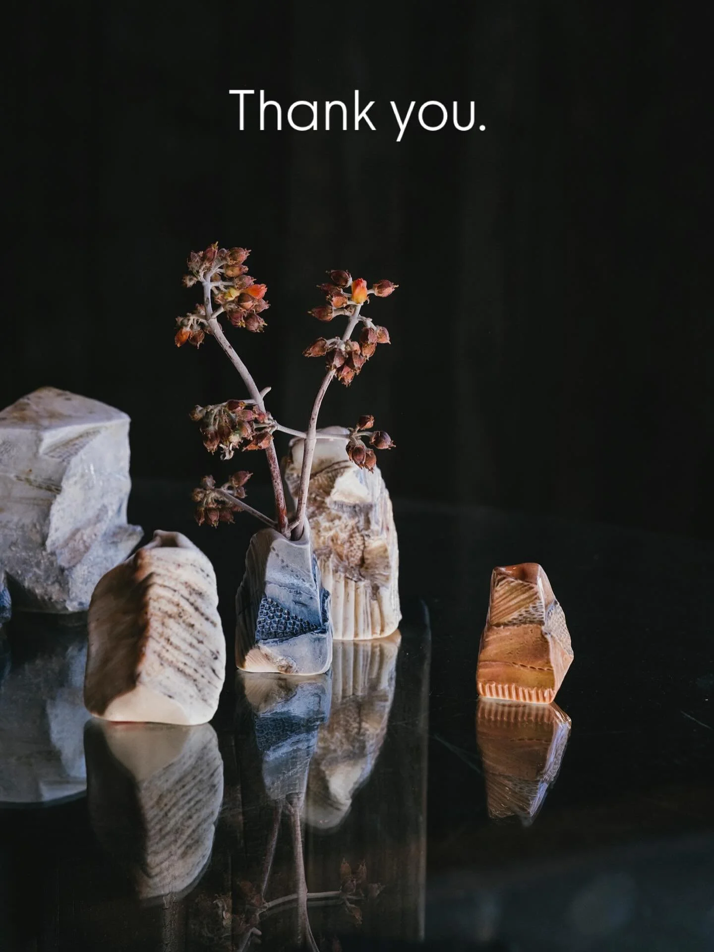 Thank you to everyone who supported my work this year. I feel so grateful to be able to practice my craft. 2025 was a year of exploration, travel and production and because of your support, I can continue on this journey in 2026. 🙏

Image is of a co