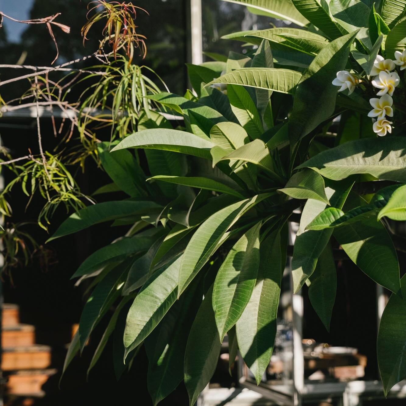 The time has come for me to resign from my director role at Vacant Assembly&hellip; @vacant_assembly 🫶

In 2018 when Sarah @blacktulipprojects and Sam @eylesy and I took on the lease of 266 Montague Road, we had no idea how it would work out and tha