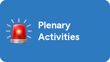 Plenary activities