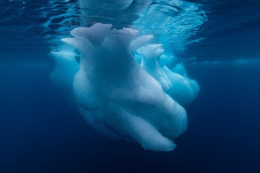 Ice is nice! One of the best things about being on an expedition yacht is we can stop and play in this winter wonderland without being on anyone&rsquo;s schedule. We love getting in the water to see these amazing icy sculptures #weloveantarctica #wil