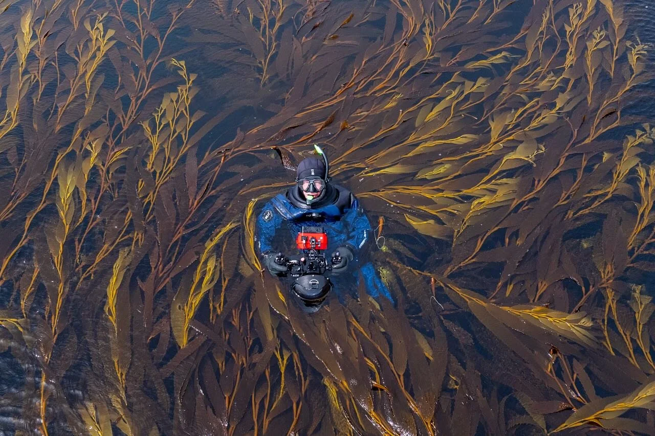 1 week down and we have already had some of the most amazing wildlife experiences exploring the Falkland Island. Visiting islands like Steeple Jason, that less than 20 people step on each year. Surrounded by the largest albatross colony on the planet