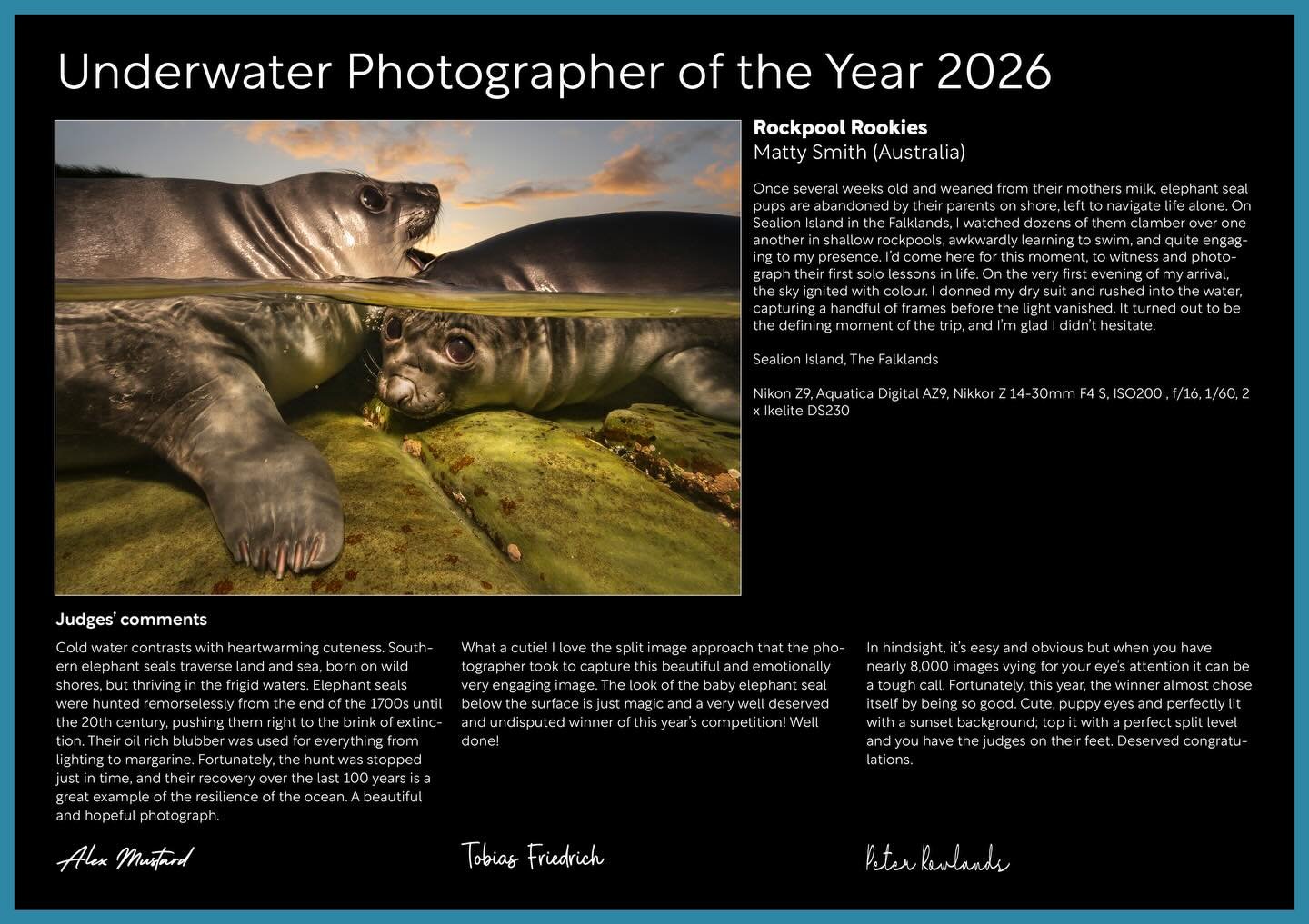 I&rsquo;m overjoyed to finally reveal my overall win in the Underwater Photographer of the Year awards, it was a pleasant and humbling surprise to take out the gold class of underwater photography awards. The UPY awards were established over 60 years