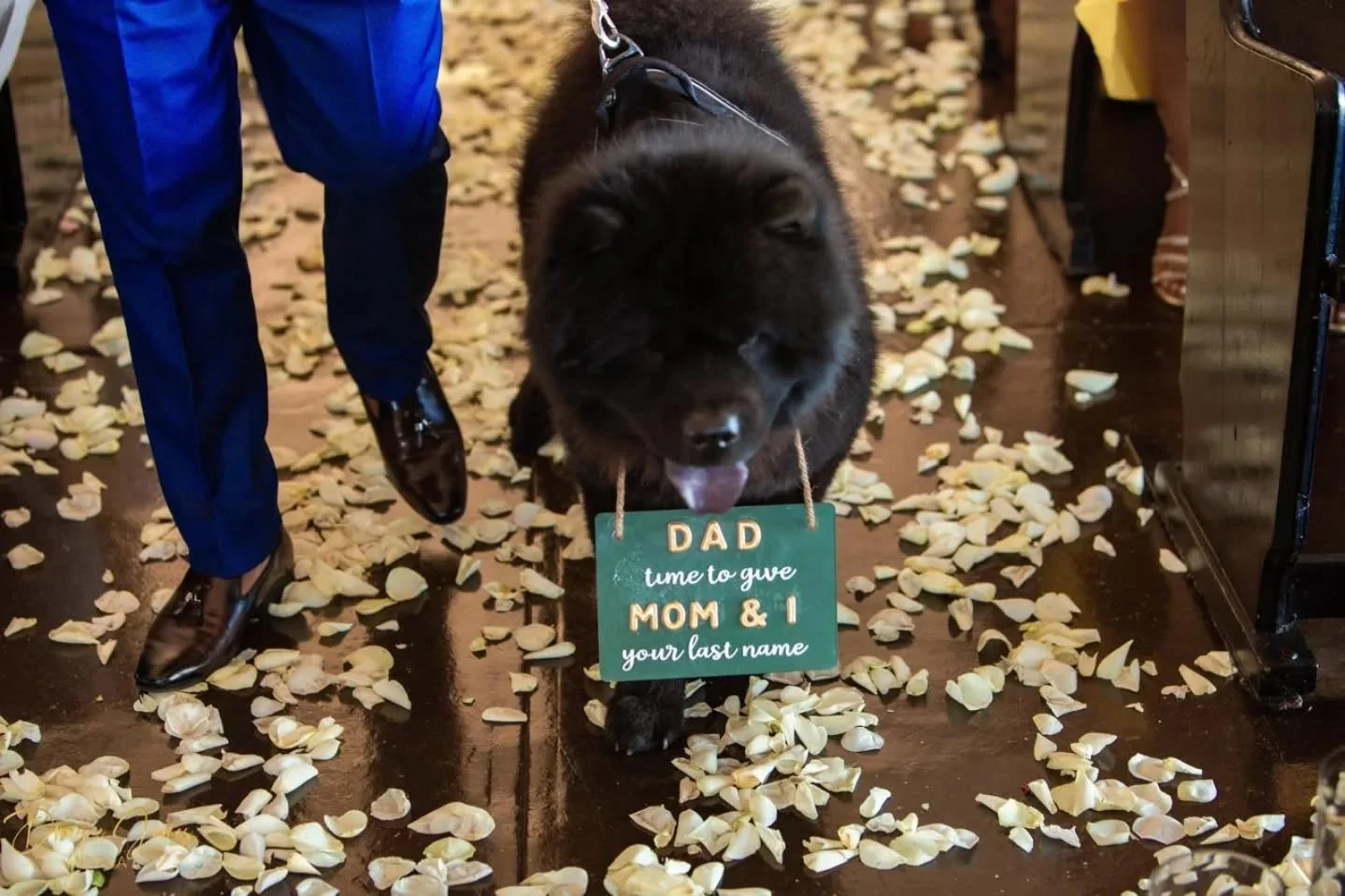 The Wedding of Dillon &amp; Nikkita 💍🩷
#wedding #Christianwedding #kznweddings #kznflorist #weddingdecor #weddingsetting #weddingflowers

Photography: @dwaynejamesmedia 
Venue: @netherwoodweddings