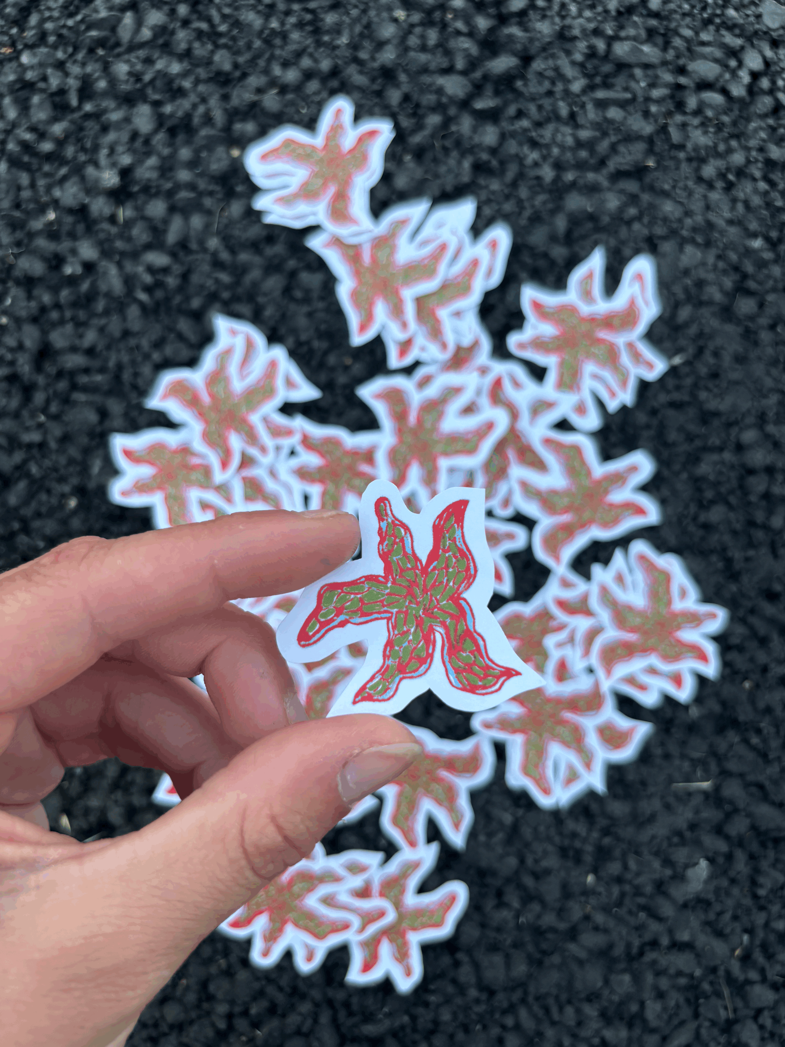 tempImage32PmO2.gif