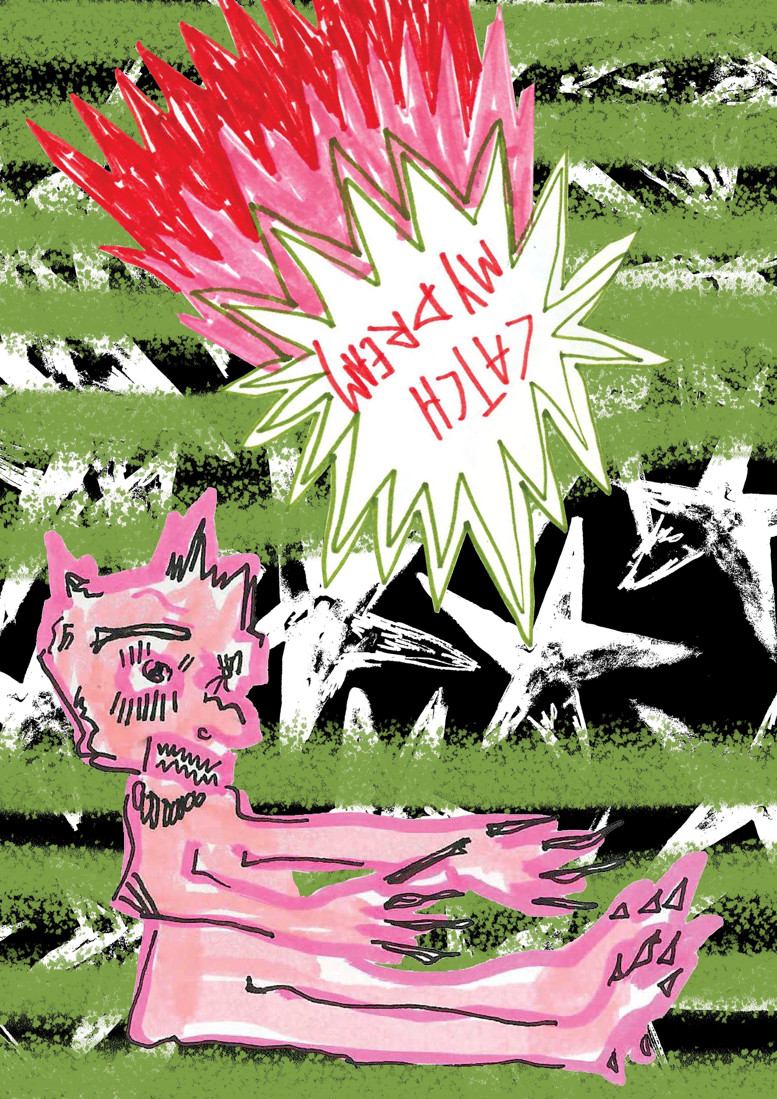 Print "Catch my dream"