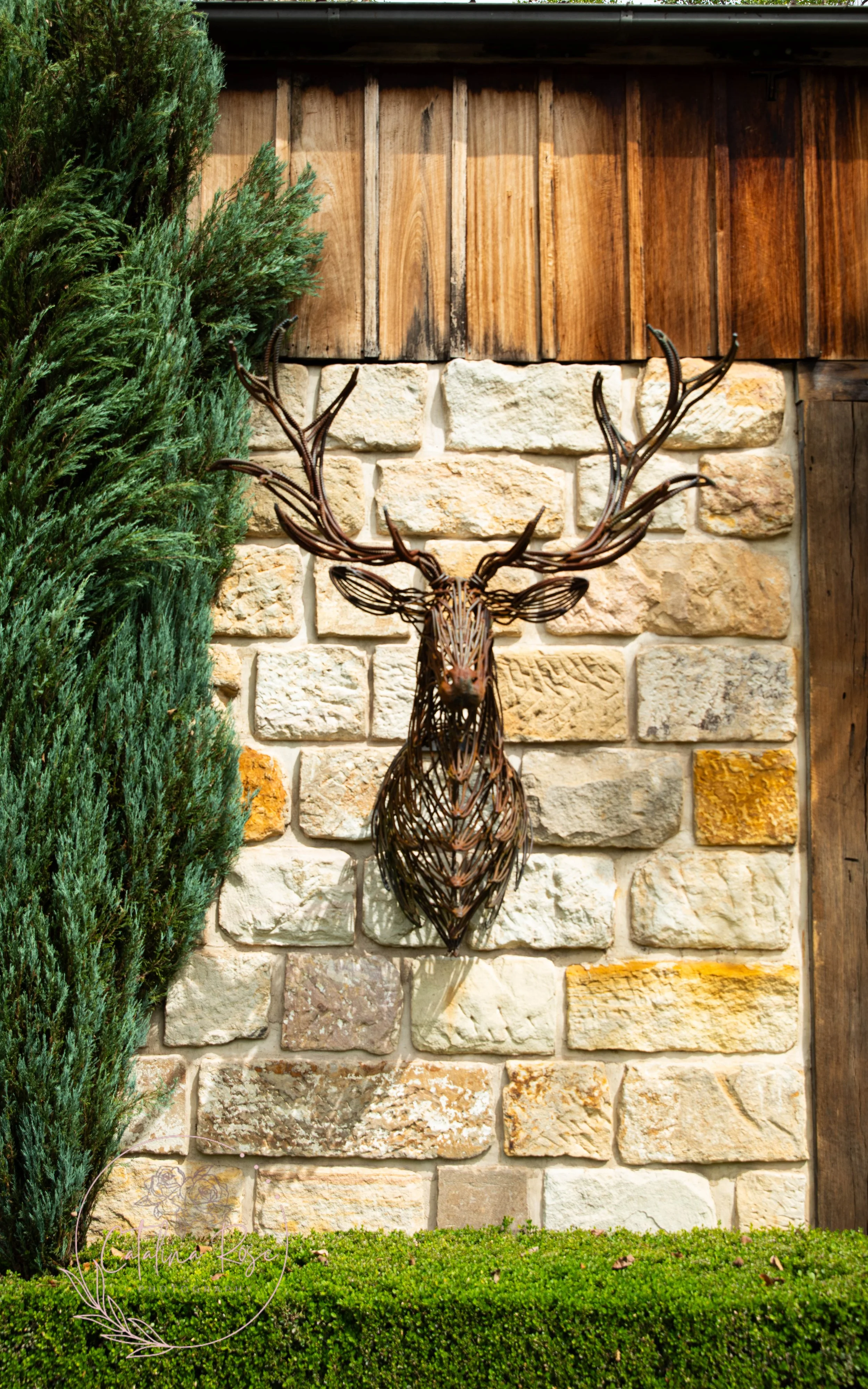 Landscape -Hunter Valley, NSW