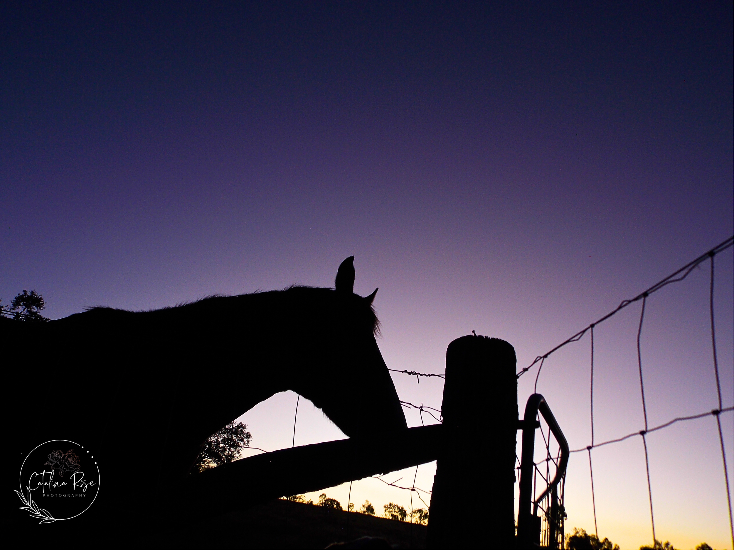 Landscapes and Sunsets - CQ