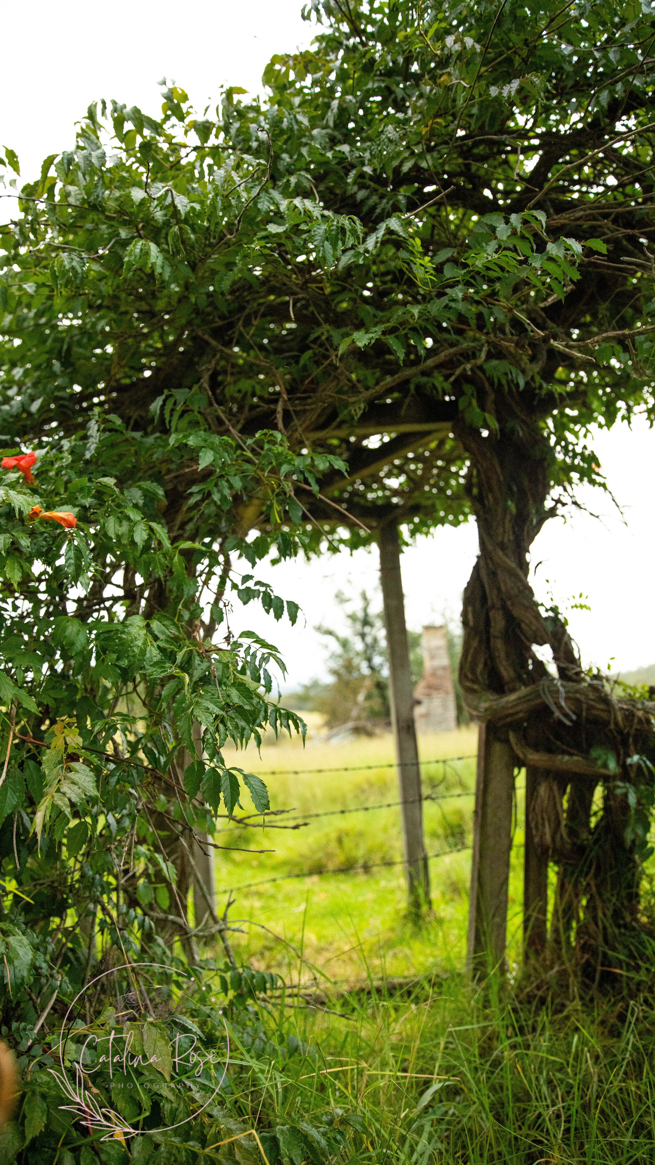 040A7835.jpg