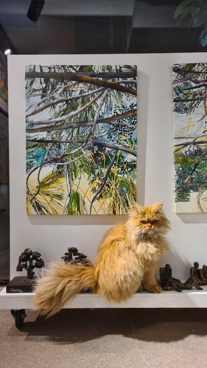 WhatsApp Image 2026-04-24 at 7.00.57 PM.jpeg