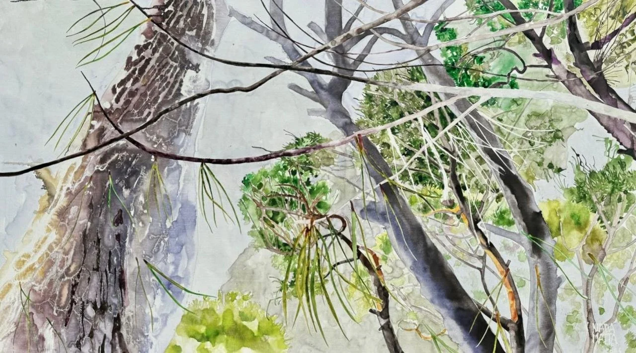 Magic Forest   
Acrylic on canvas 
137 x 243  cm  
2024 
Price Upon Request