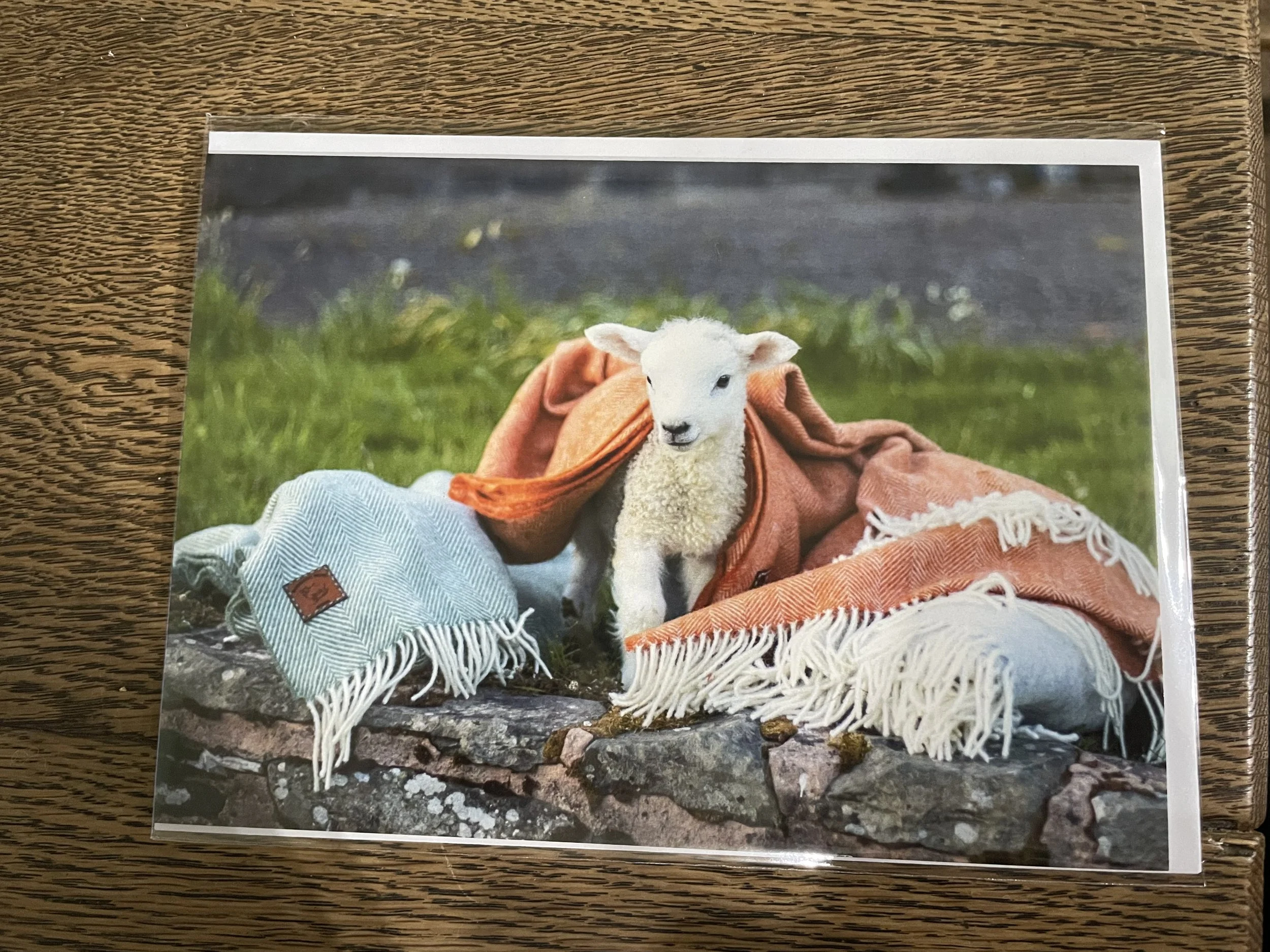 LIFE AT BURNFOOT CARDS