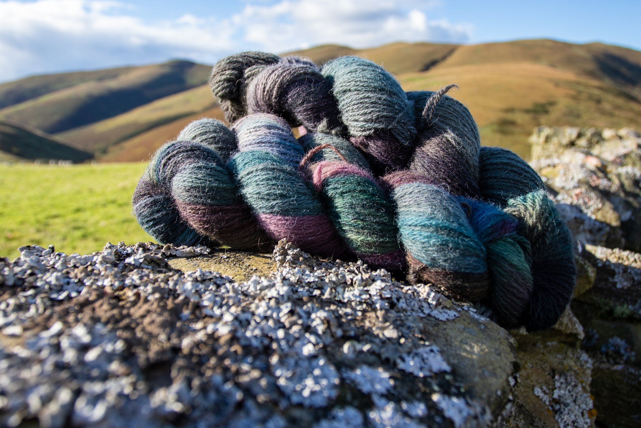 Hand Dyed Double Knit – 100g Skein 'Je Suis Prest'
