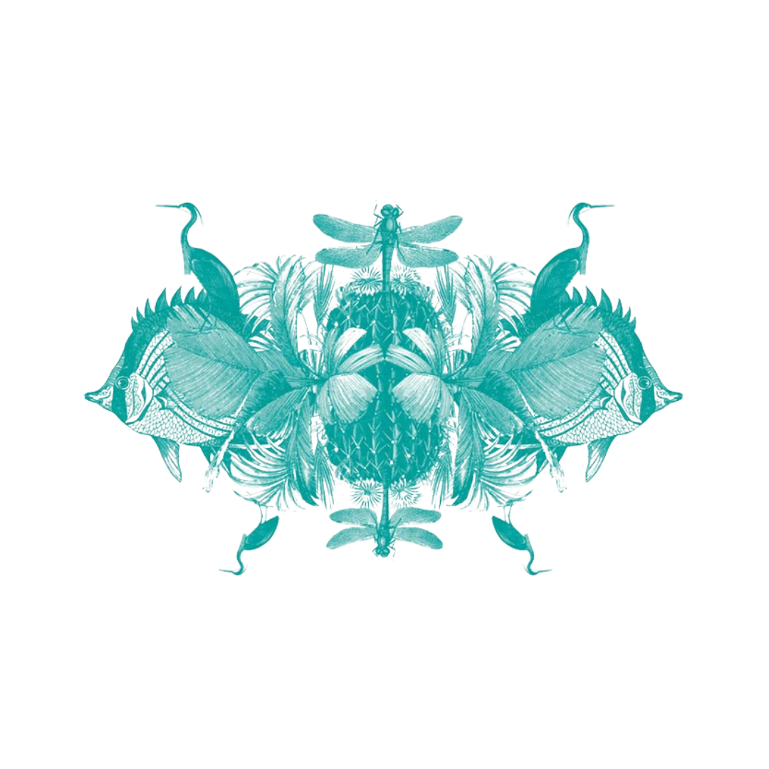 A symmetrical illustration of insects, including a dragonfly and butterflies, combined with other insect features, in a blue monochrome style.