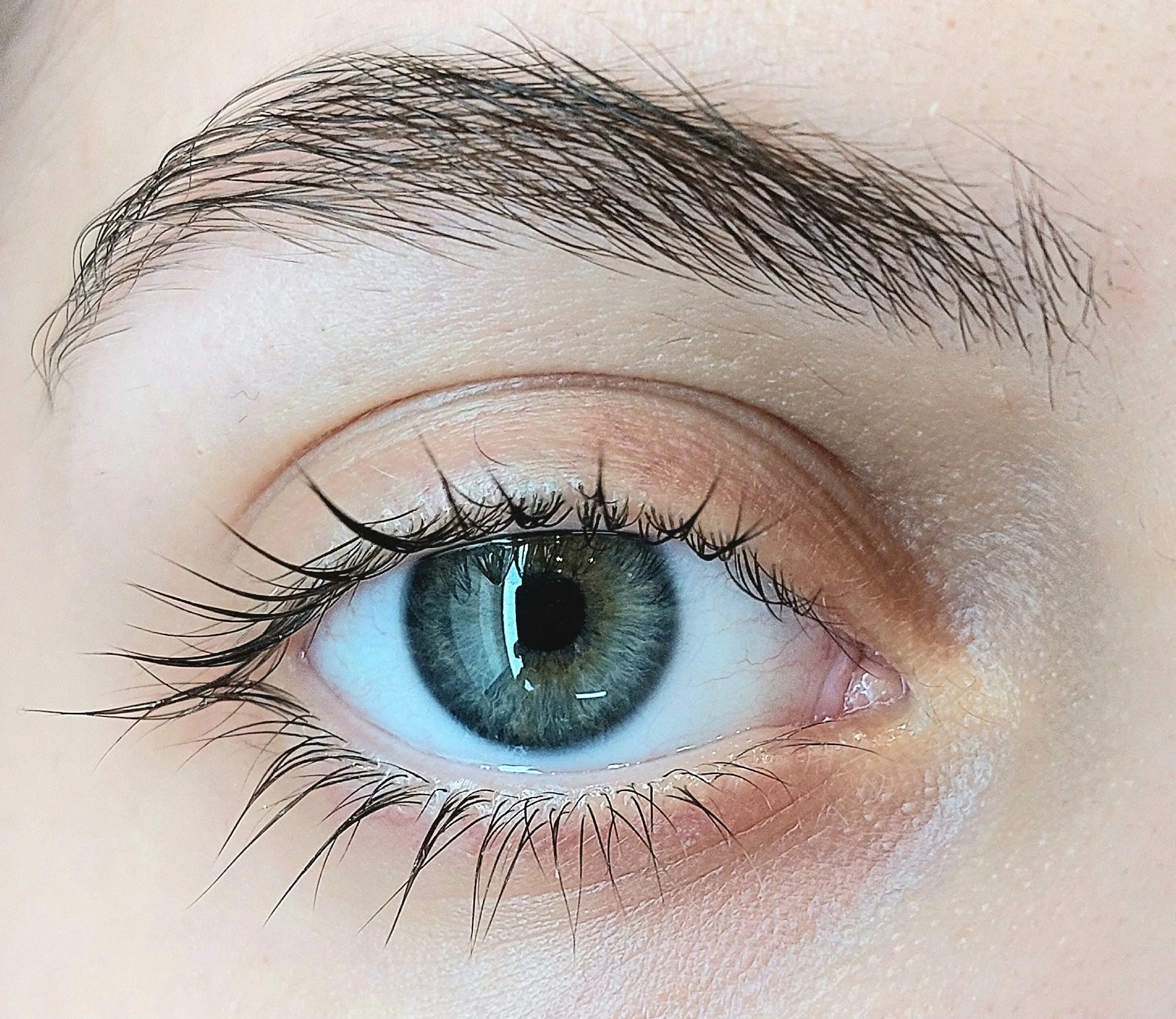 Eyelashes and Eyebrows