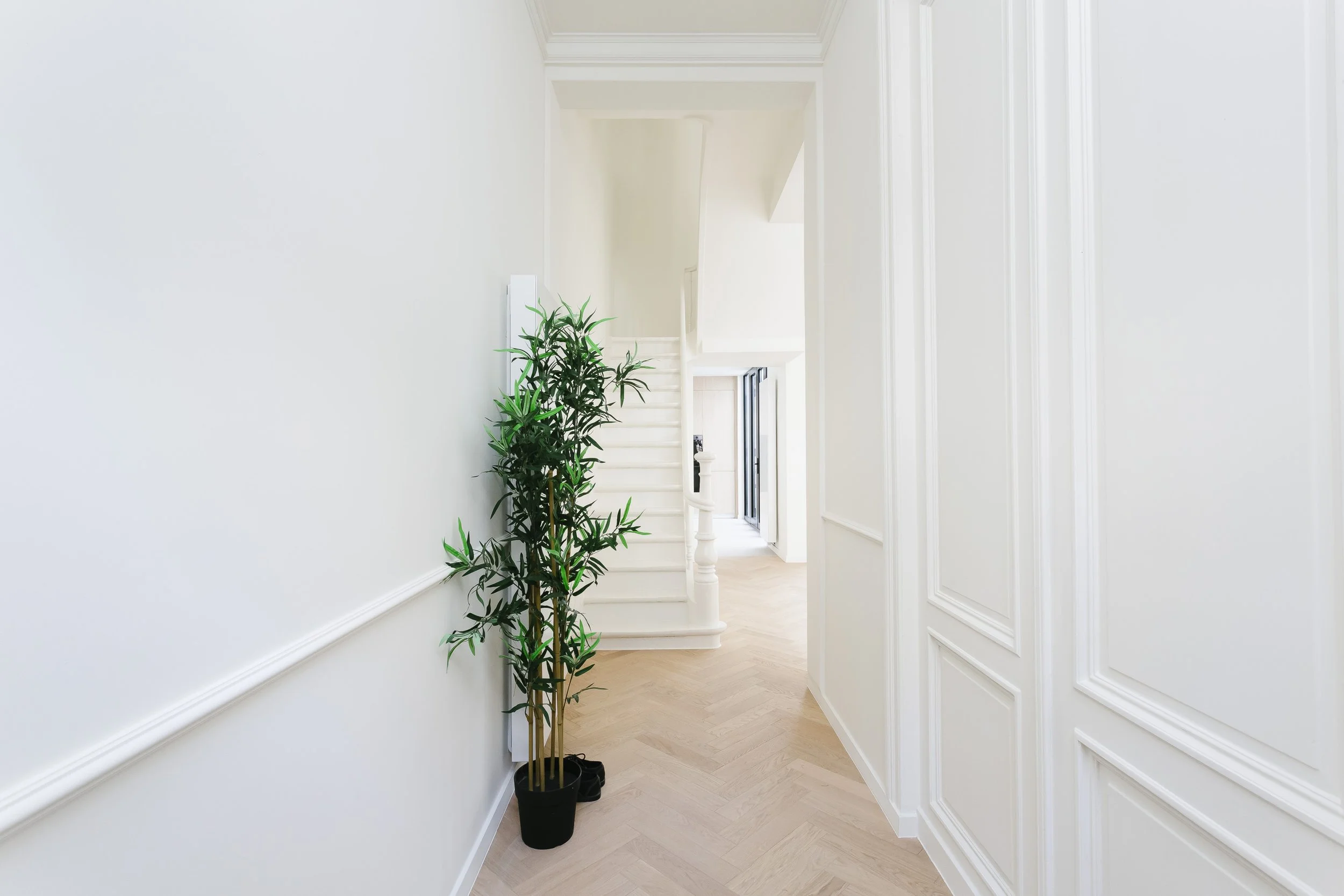 Antvest Koninginnestraat low res_c_The Fresh Light_012.jpg
