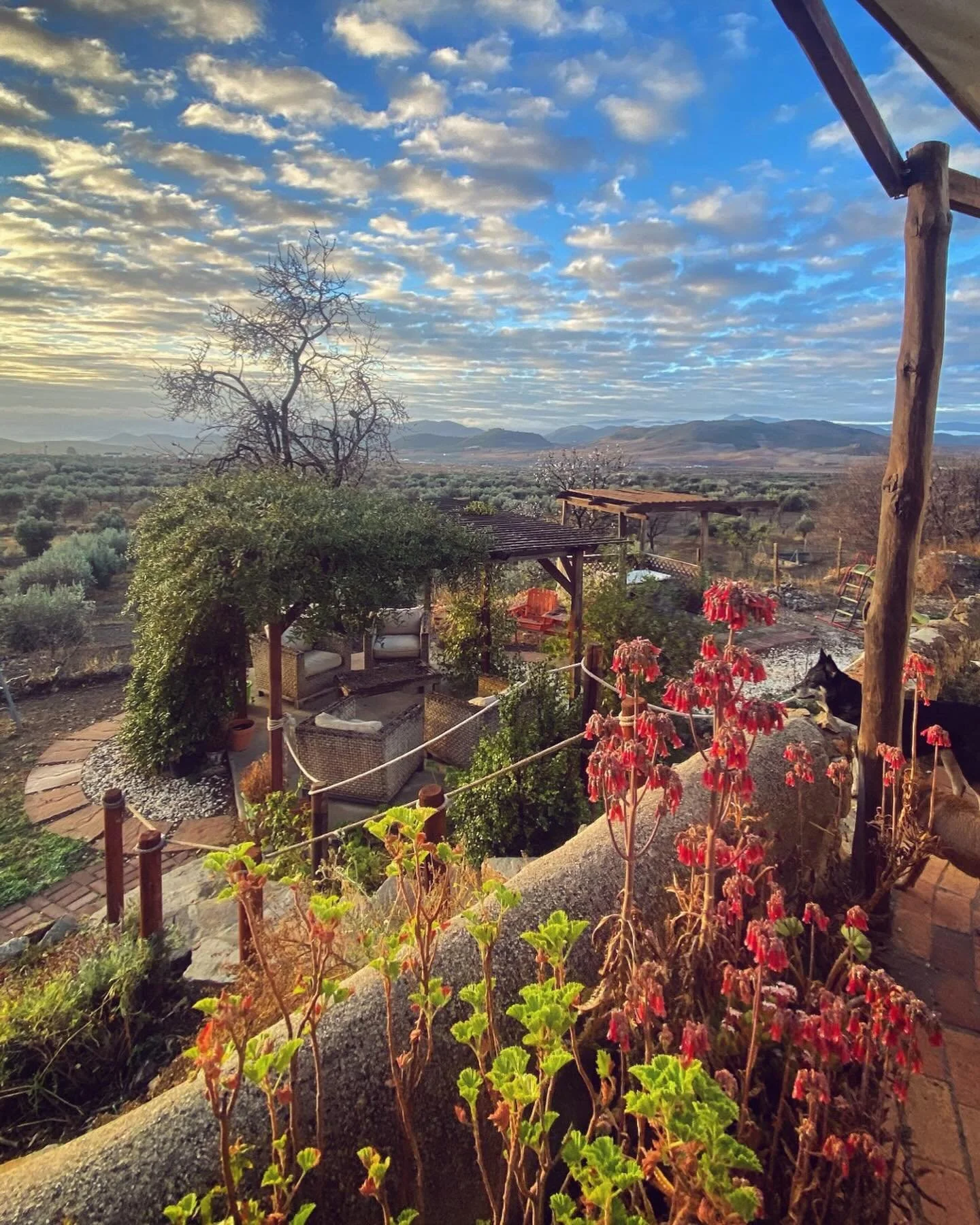 Shepherd&rsquo;s Rest:

A traditional farmhouse with 3 self contained apartments attached to our family home.

The property is situated in Oria village, within 10 minutes walk from all amenities&hellip;
6 bar/restaurants, 2 butchers, 2 bakeries, Sund