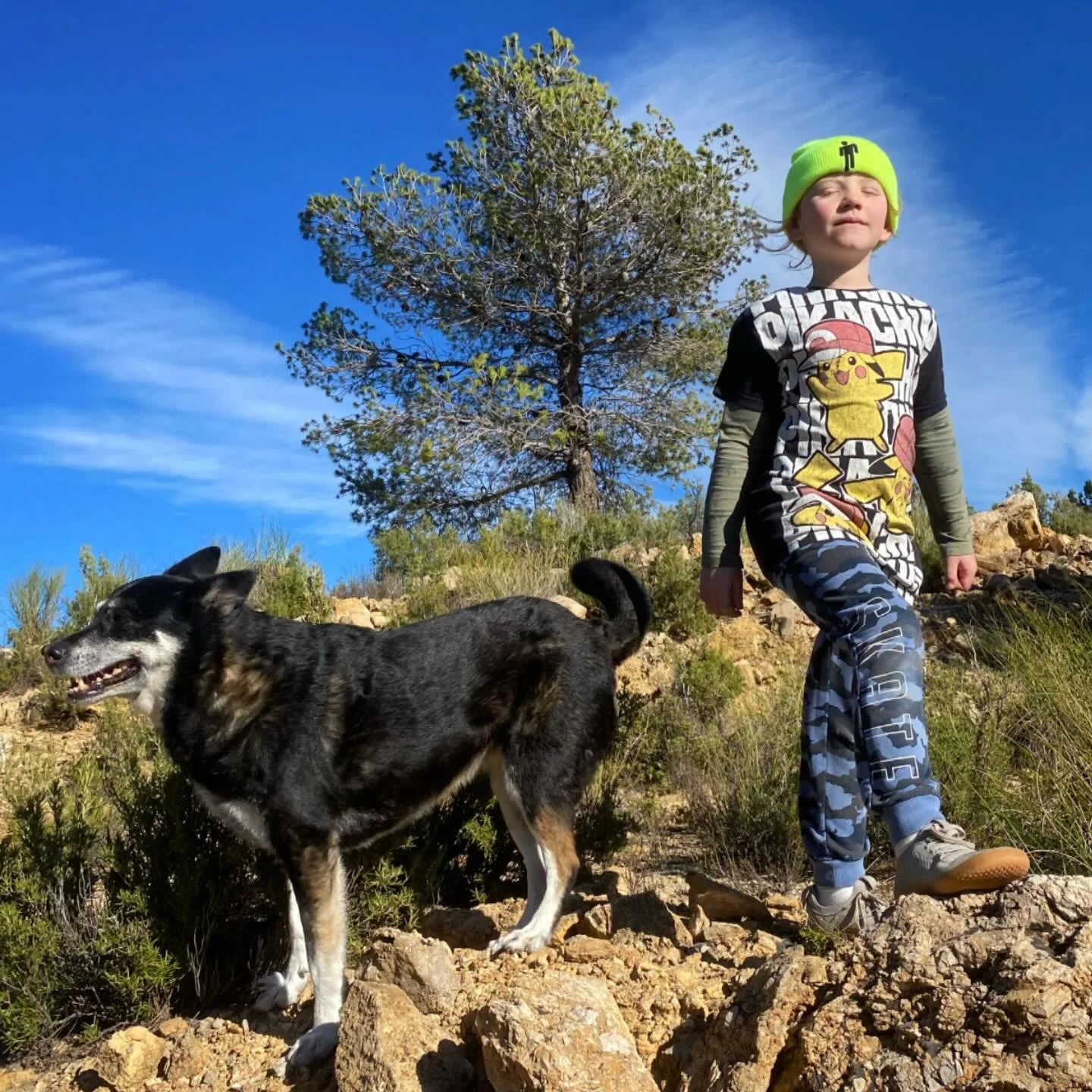 We see it every day&hellip;children light up around animals. With 4 dogs, 4 cats, 5 chickens, and a very friendly stray colony which seems to have settled in nearby, we know the benefits!

And it turns out the science backs what our intuition already