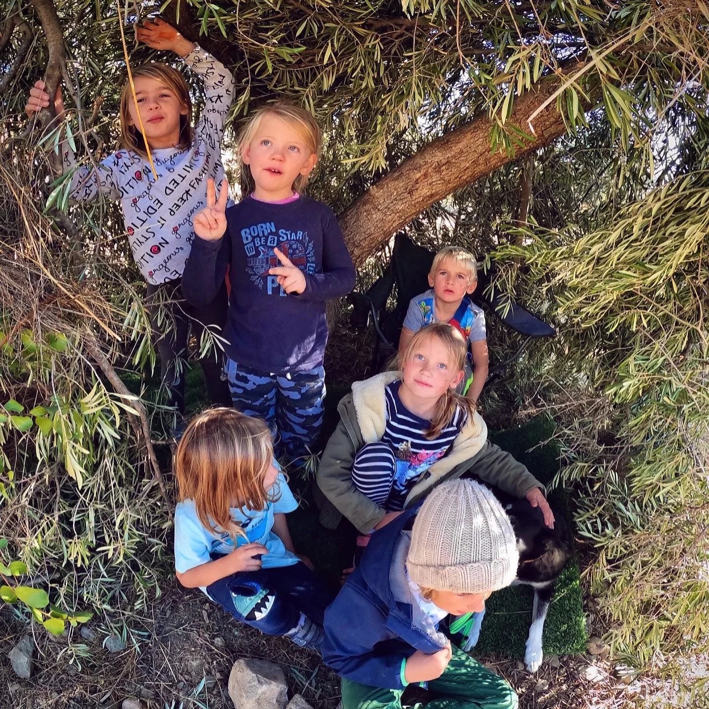 &euro;300 OFF &mdash; book by 31st January
April OR September 2026 at Shepherd&rsquo;s Rest

Month in the Mountains (Juniors 8&ndash;12 yrs)
Four incredible weeks of outdoor learning, creativity, and friendship.

Monday&ndash;Friday | 10:00&ndash;13: