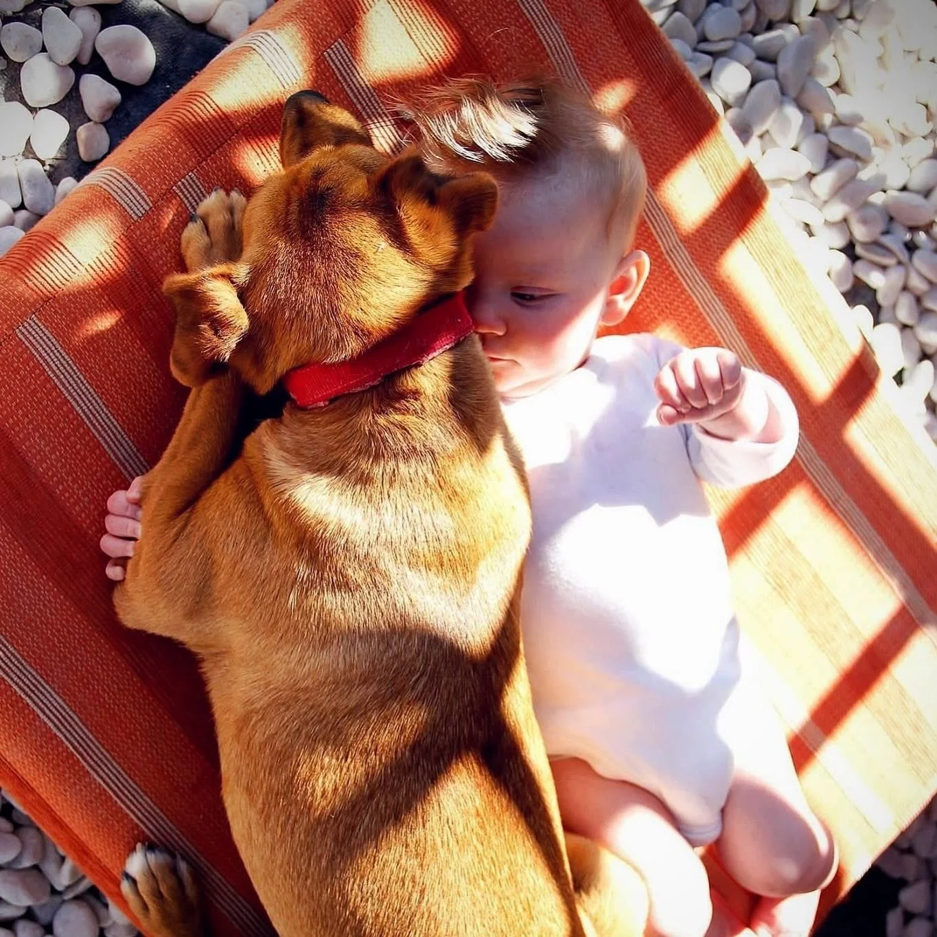 Parenting with Purpose ⛰️ 

At the heart of our project is the simple but powerful belief that parenting is not a passive role, it&rsquo;s a purposeful calling.

Parenting with purpose means choosing active engagement in your child&rsquo;s life every