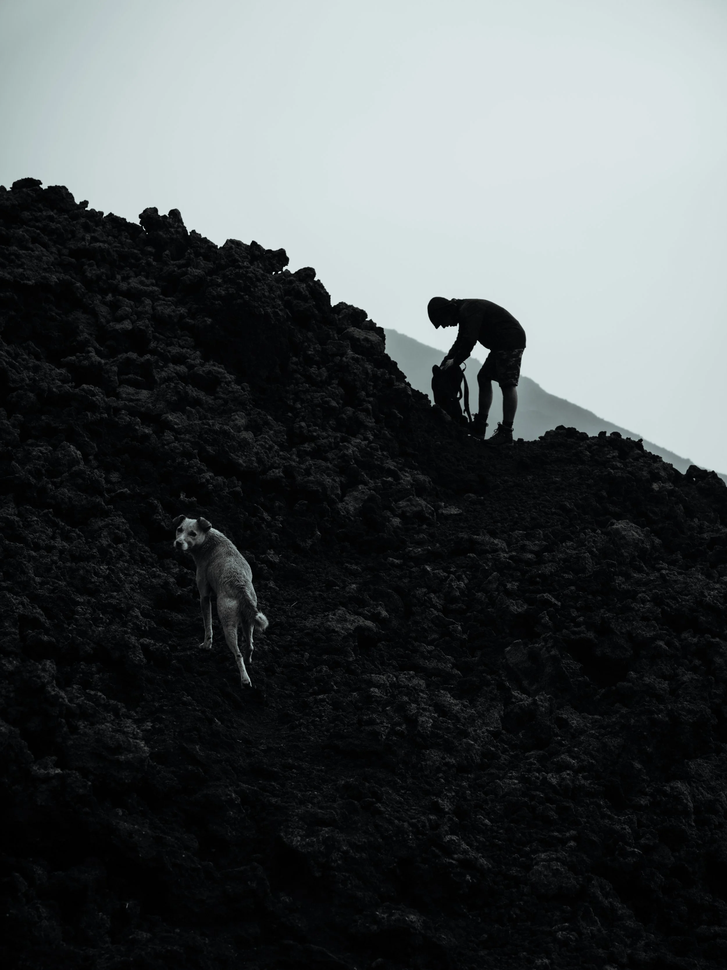 Une silhouette d'une personne avec un sac à dos se tient sur un terrain rocheux sombre. Un chien est visible à côté, grimpant sur les rochers."