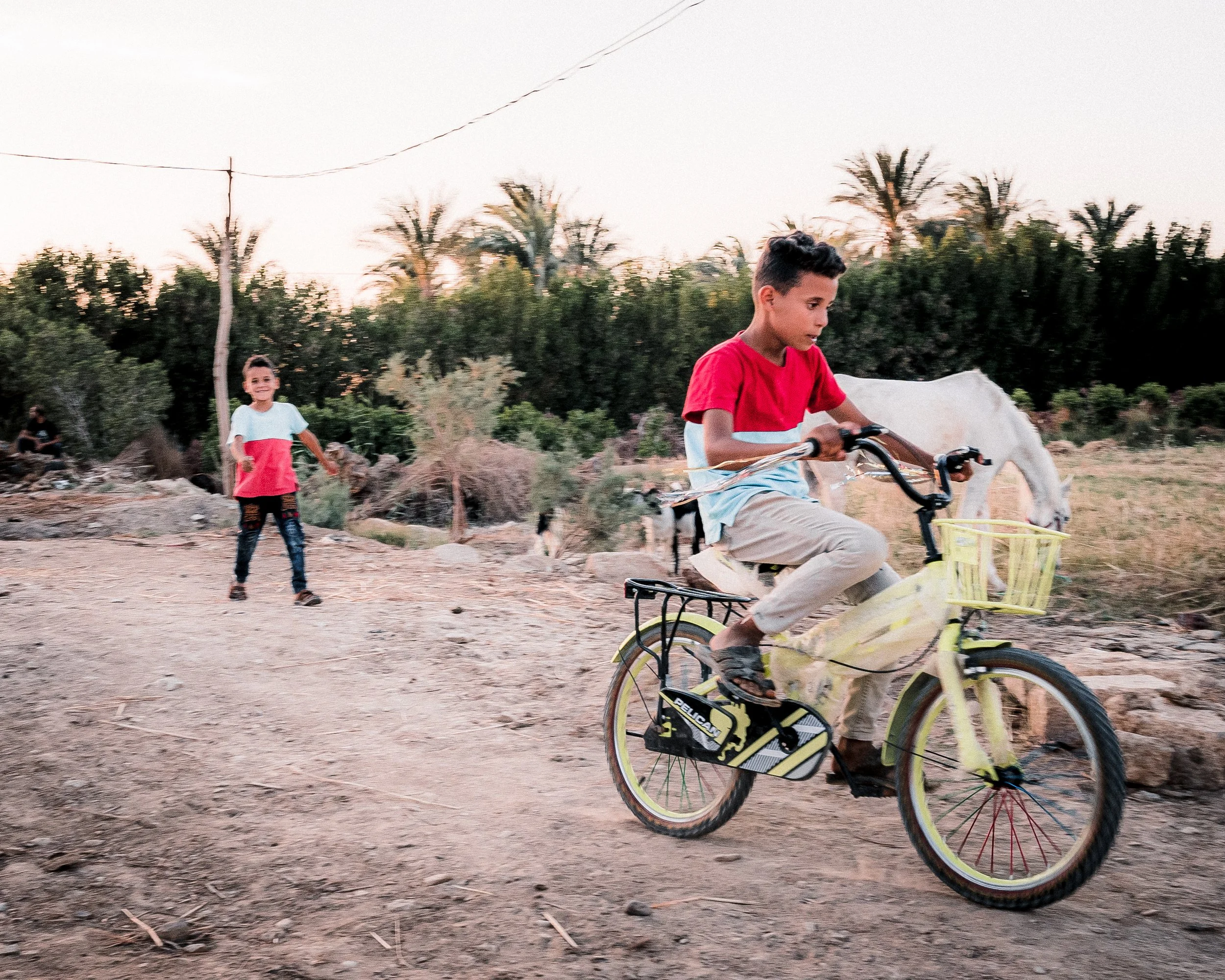 Deux garçons jouent en plein air, l'un fait du vélo tandis que l'autre marche. En arrière-plan, des arbres et des chèvres.