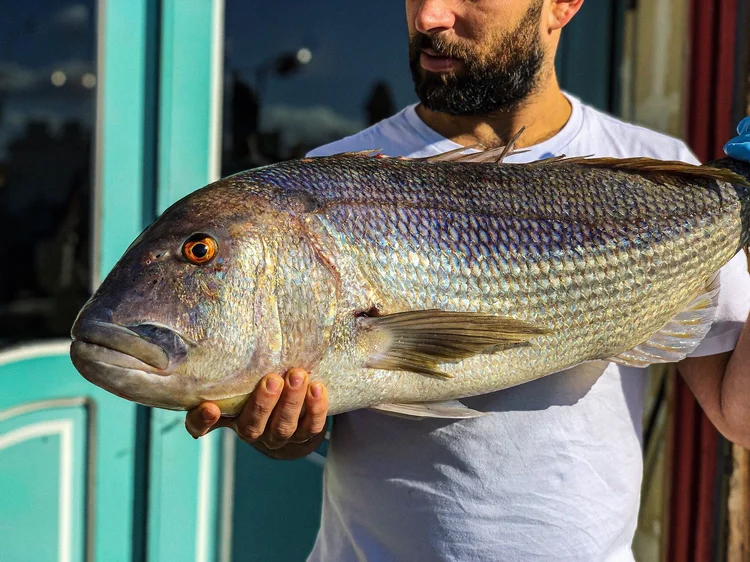 Seasonal Mediterranean Menu | Spring Set Lunch & À La Carte — Terrone Birgu