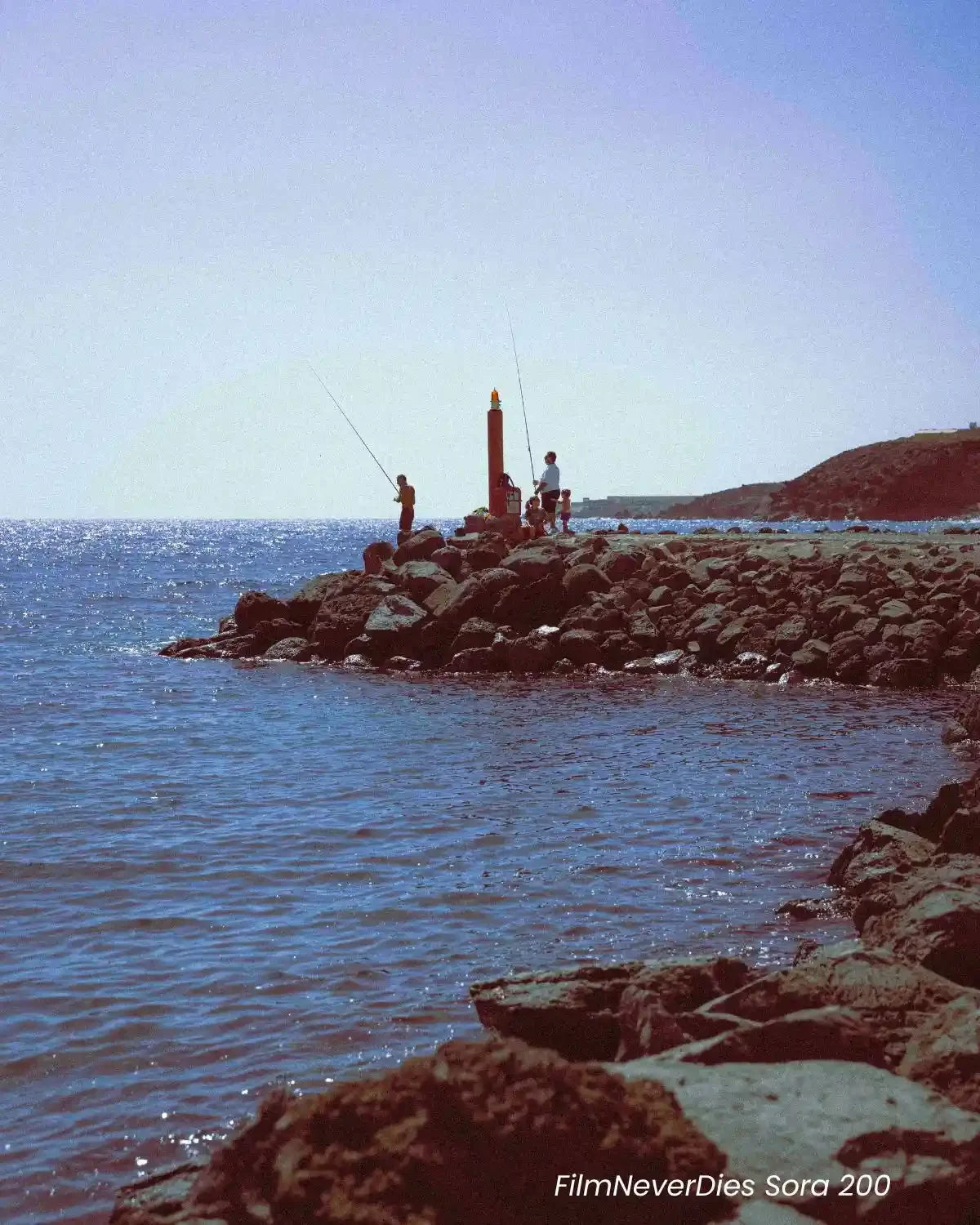 Comparison of Reflx Lab 800T and FilmNeverDies Suibo 500T film look presets on night street photography.