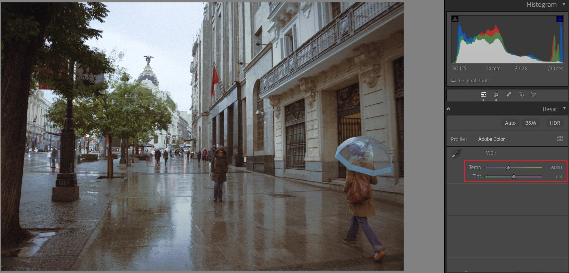 Fine-tuning white balance in Lightroom after applying a preset to adjust warmth and color tones based on personal editing style.