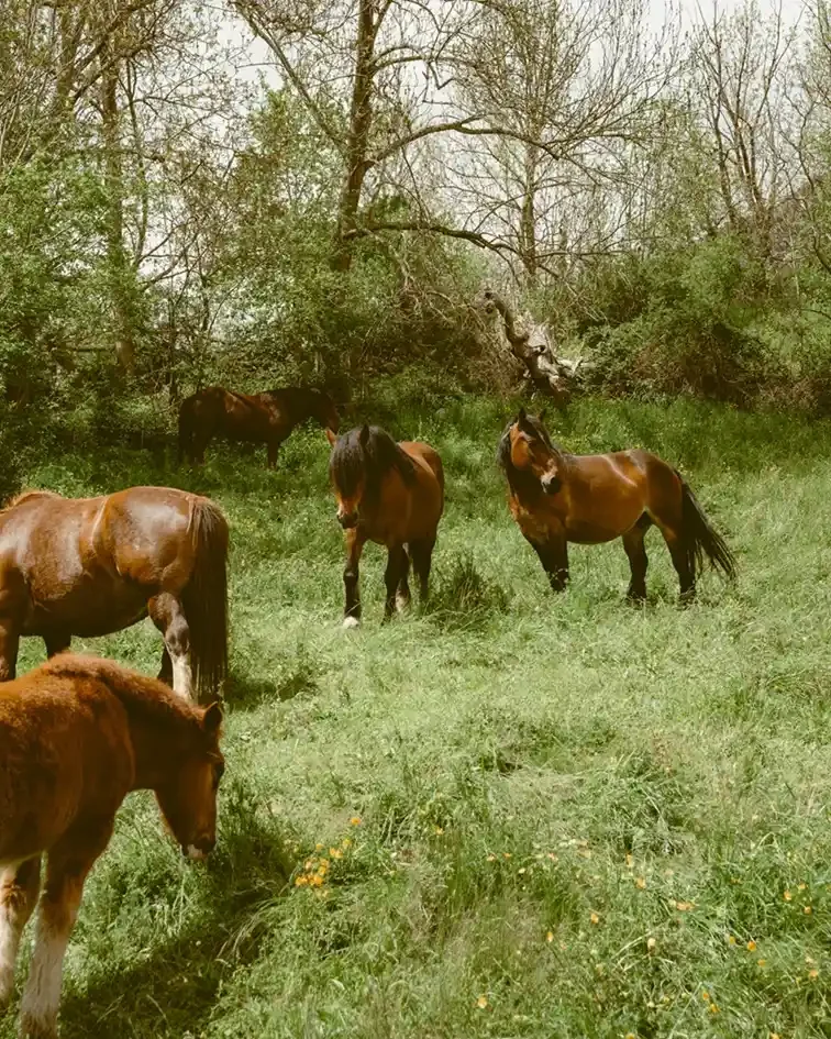 Cinematic street photography print edited with Kodak Ektar 100 preset, featuring vibrant reds, fine grain, and high saturation, perfect for night cityscapes and neon lights