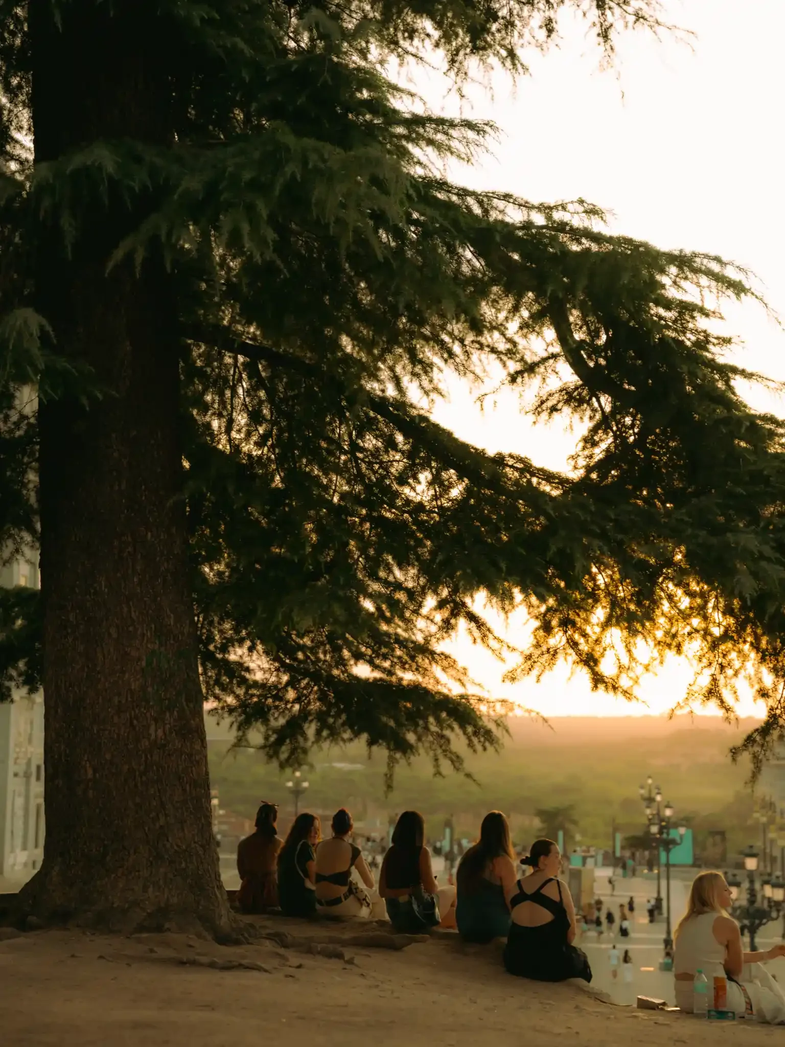 golden-glow-preset-lightroom-summer-dreamy-street-photography-nostalgia-ejduranphotography-8(1).webp