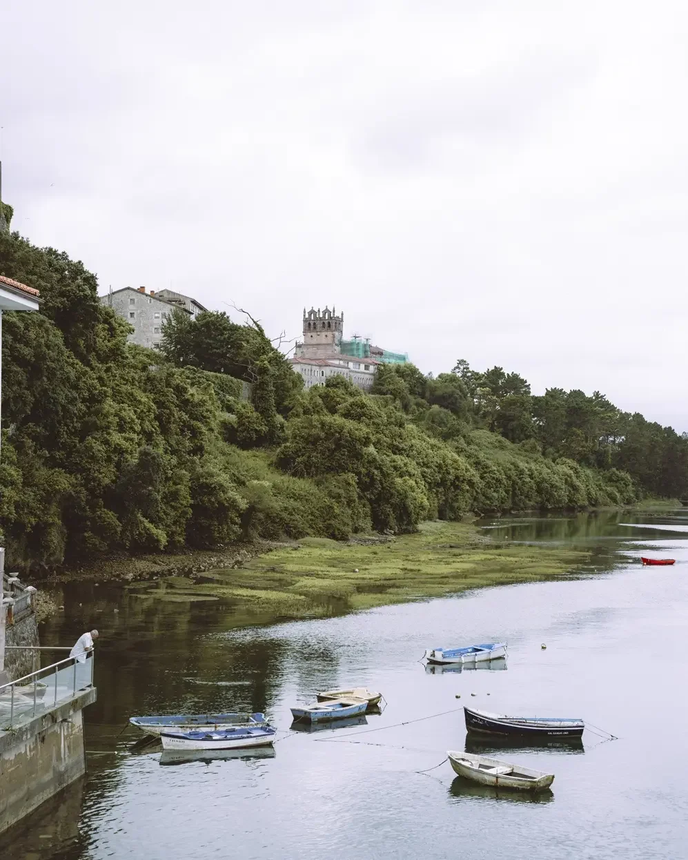 Before and after comparison of Kodak Pro 100 Lightroom preset showing soft contrast and warm film tones on a daylight portrait.