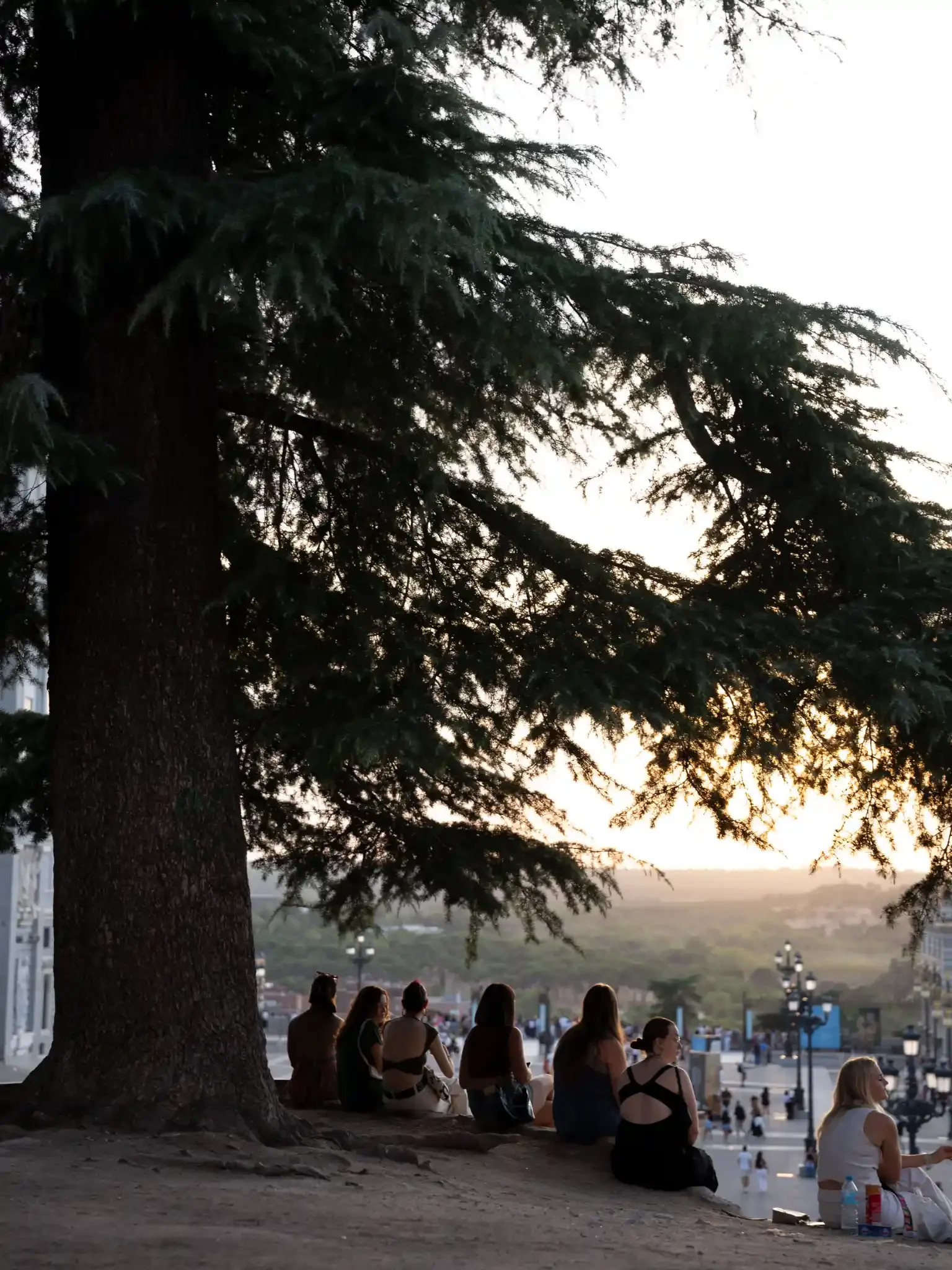 golden-glow-preset-lightroom-summer-dreamy-street-photography-nostalgia-ejduranphotography-7(1).webp