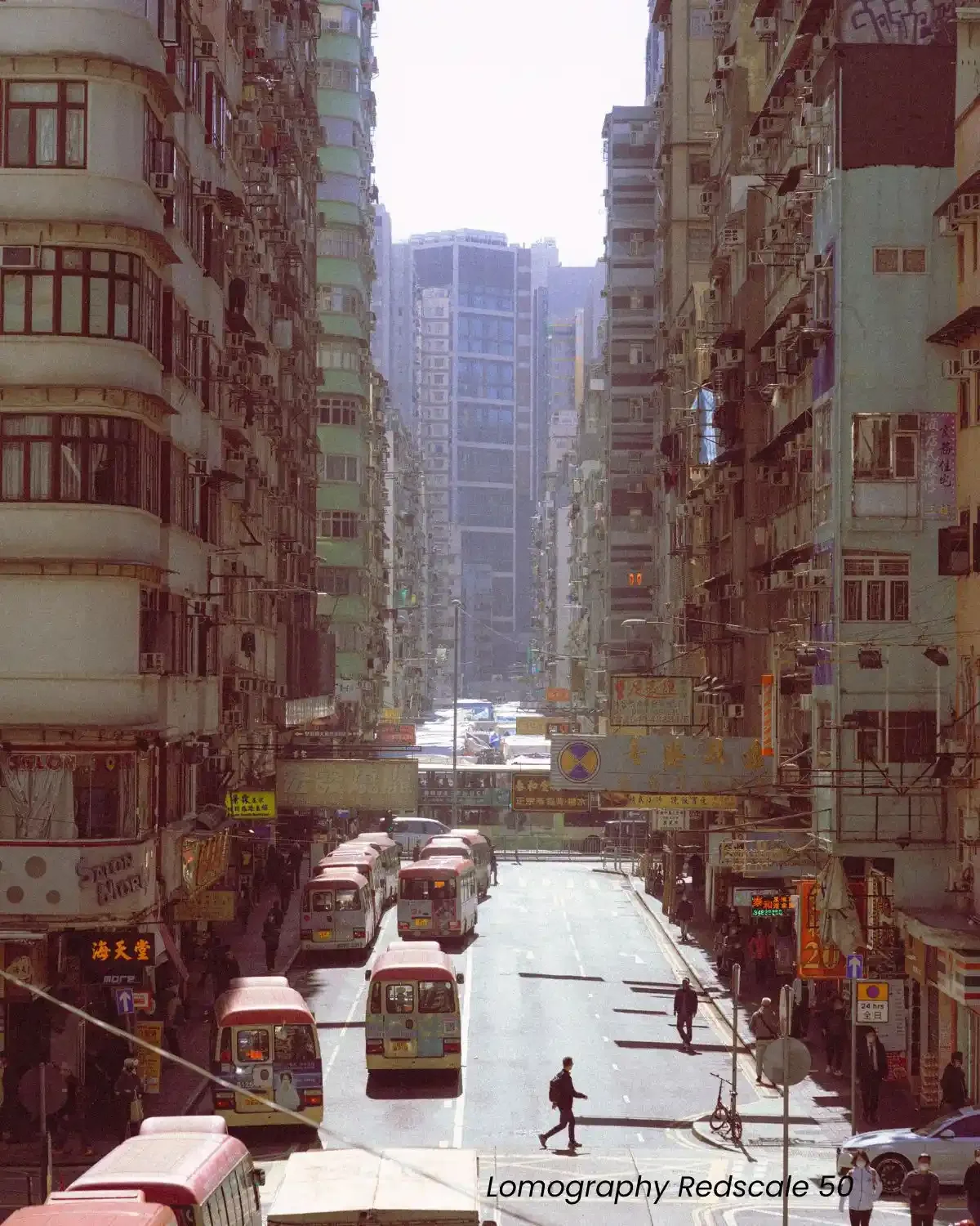 Lomography film presets for Lightroom, X-Pro cross processing effect, Color Negative 800 film look, Redscale 50 photography aesthetic, professional analogue film presets bundle by EJDuran