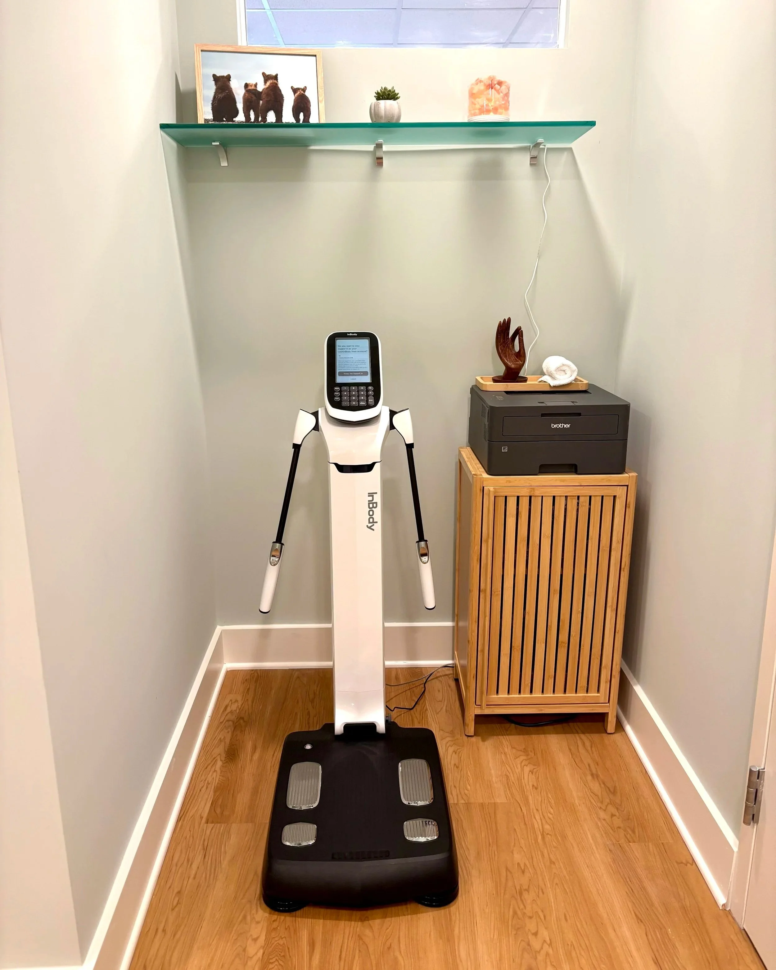 InBody 380 scan body composition machine