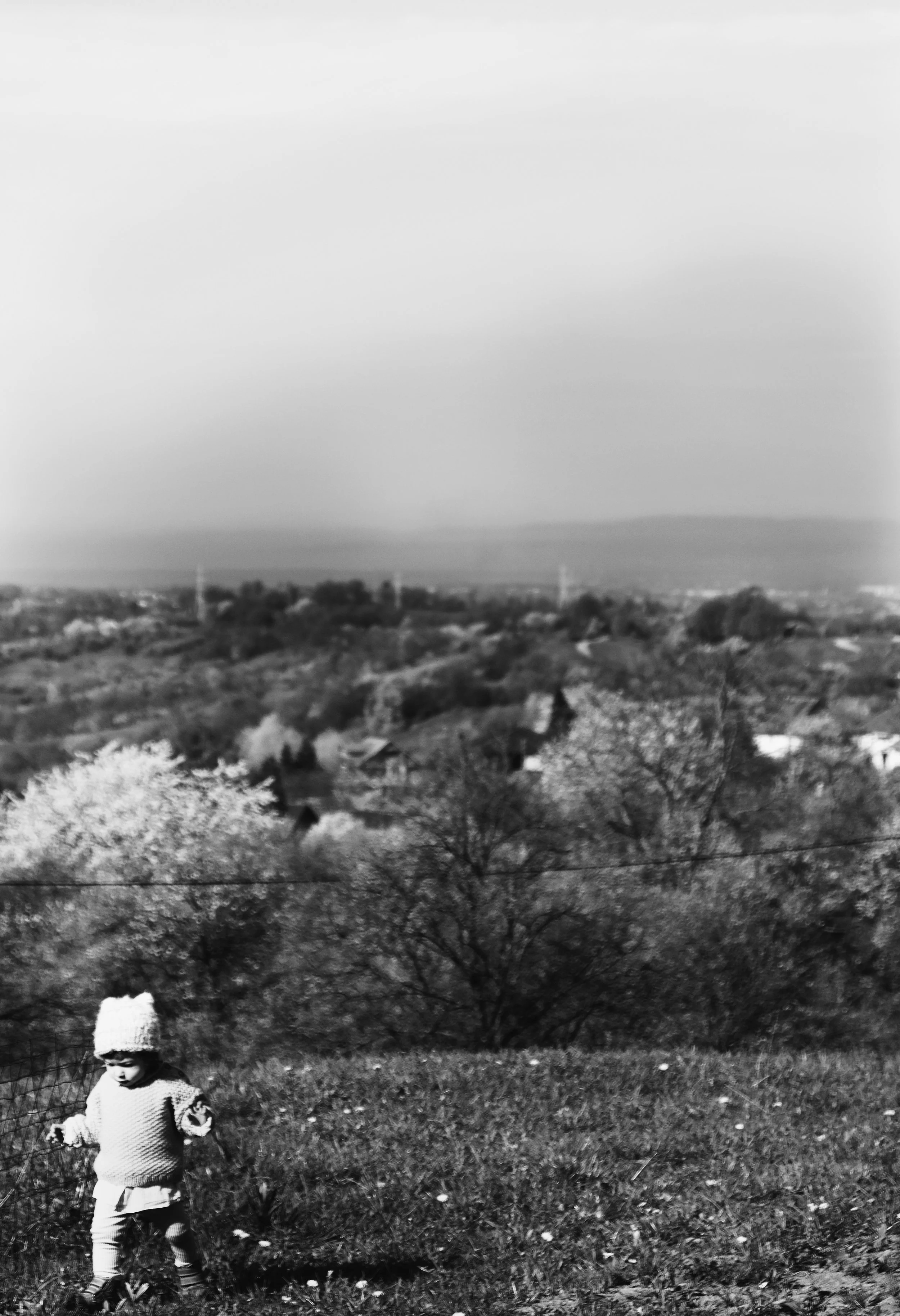 image00012.jpeg