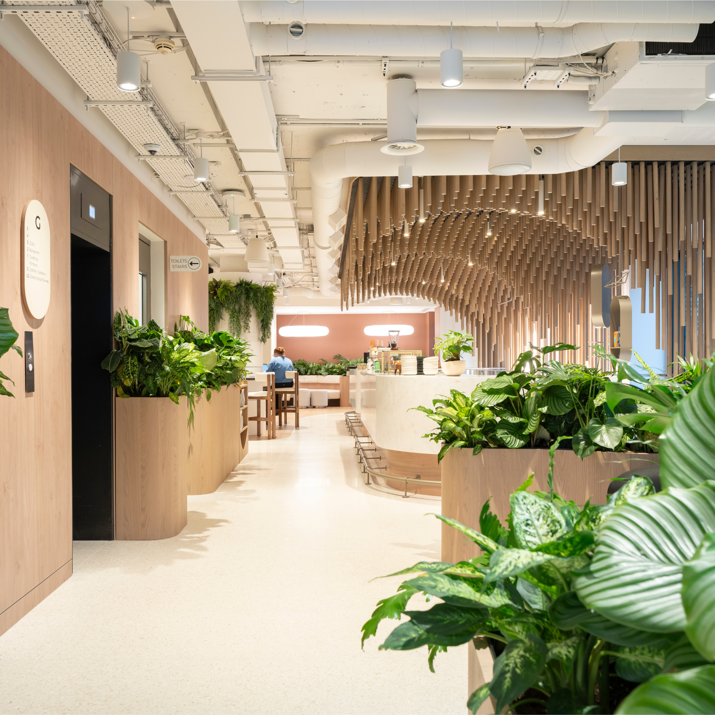 Modern indoor space with green plants, wooden and white interior design, ceiling with exposed ducts, and ambient lighting.