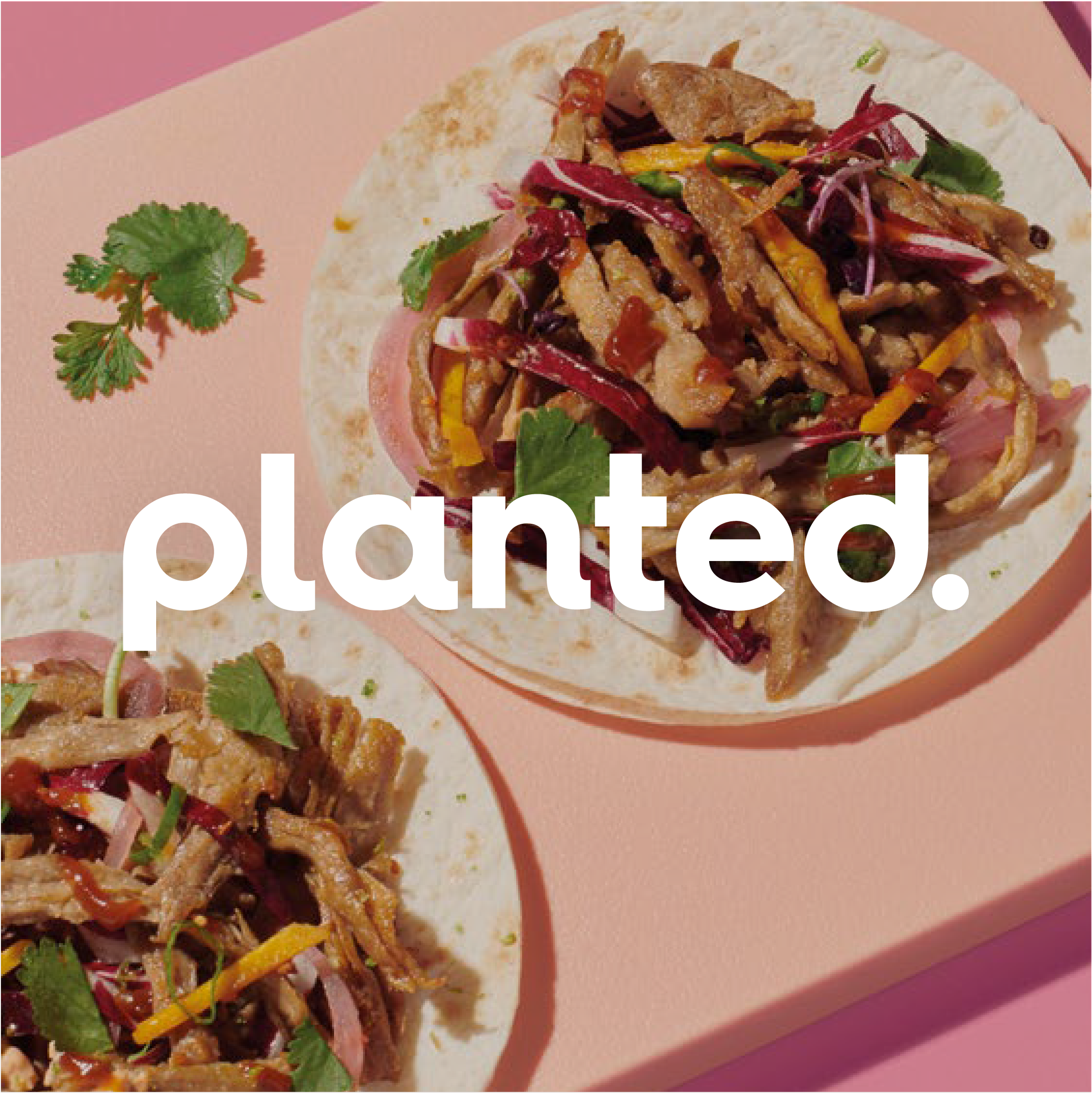 Zwei Tacos mit Fleisch, Gemüse und Koriander auf einem rosa Hintergrund, mit dem planted. Logo überlagert.