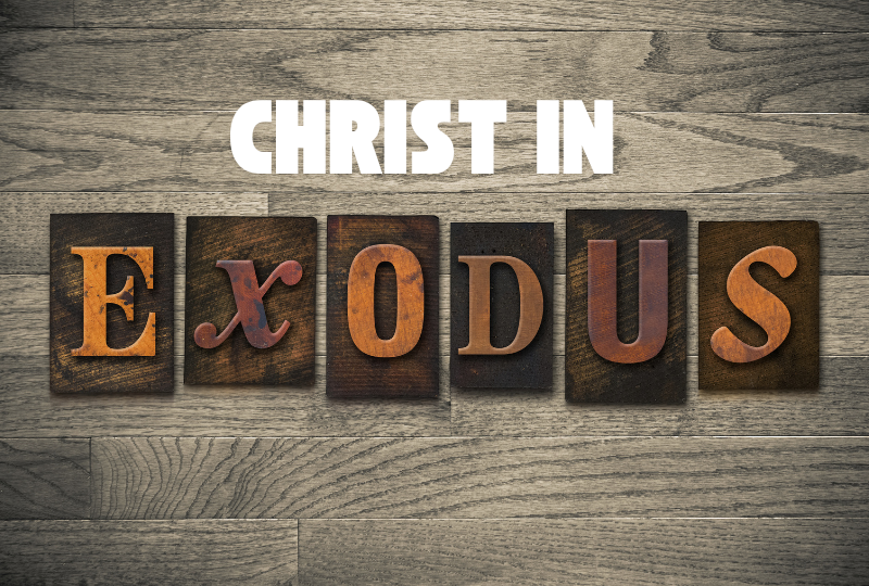 Christ In Exodus