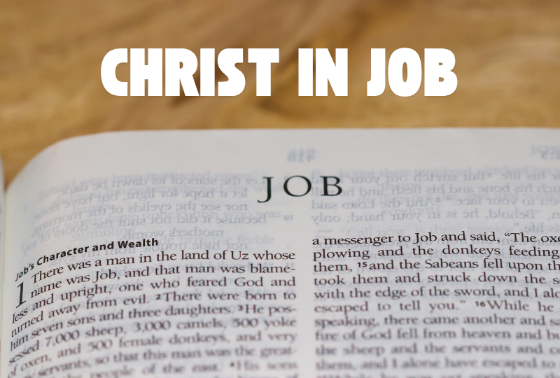 Christ In Job