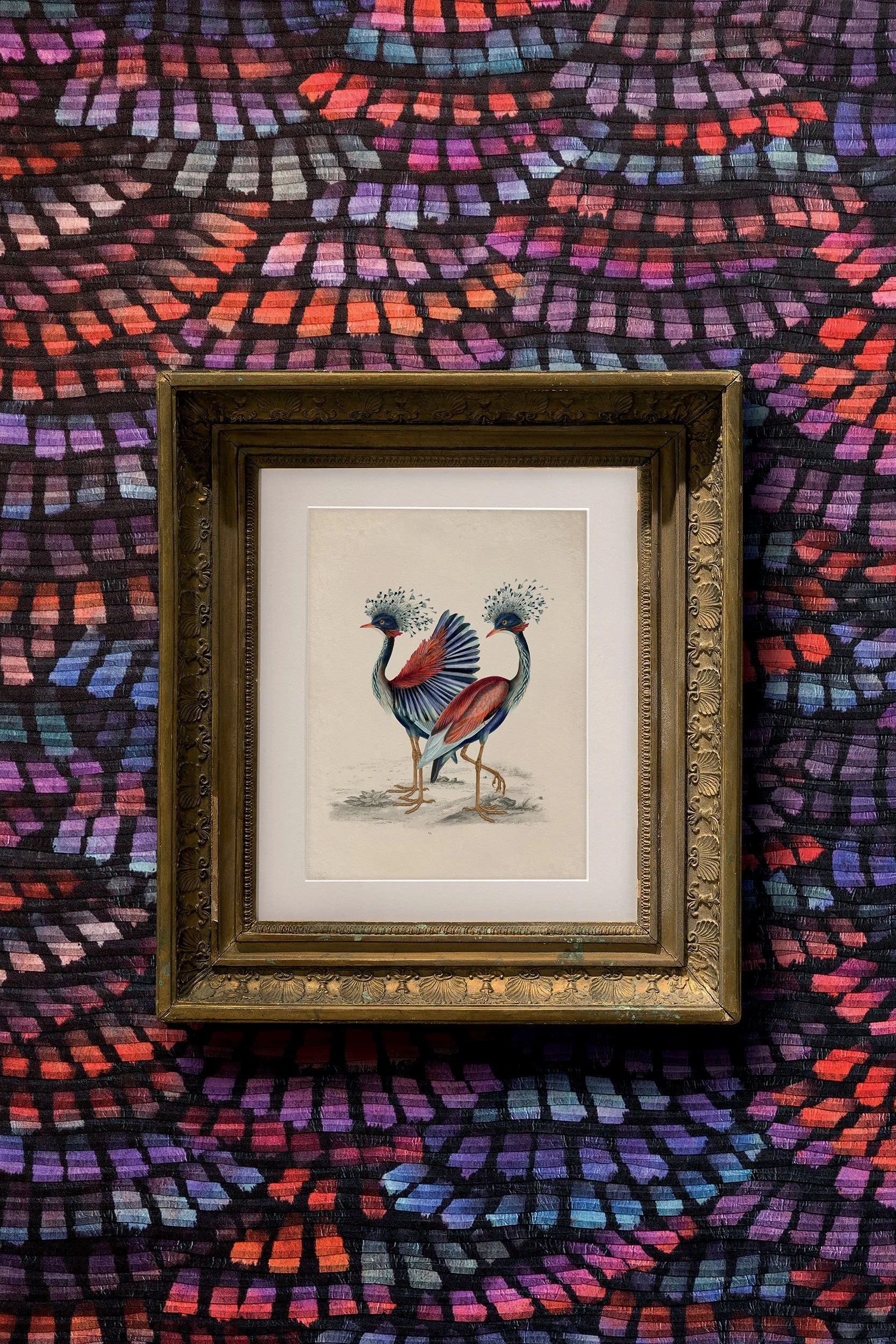 Dandelion Cranes, Memento Moooi Medley, Extinct Animals family, illustration and visual identity by Automne Studio.