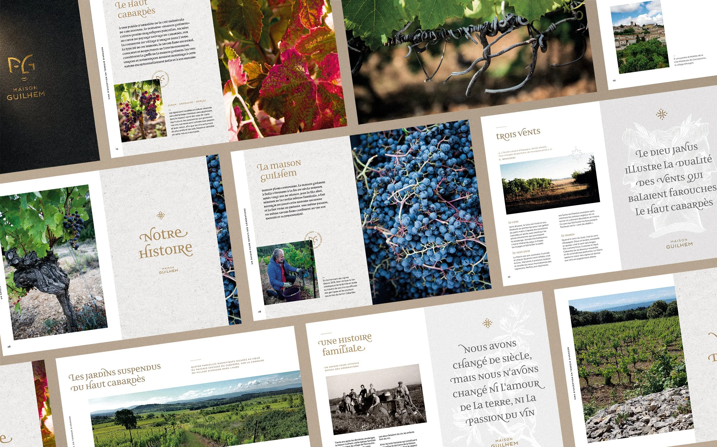 Maison Guilhem winery brochure overview, branding and editorial project by Automne Studio.