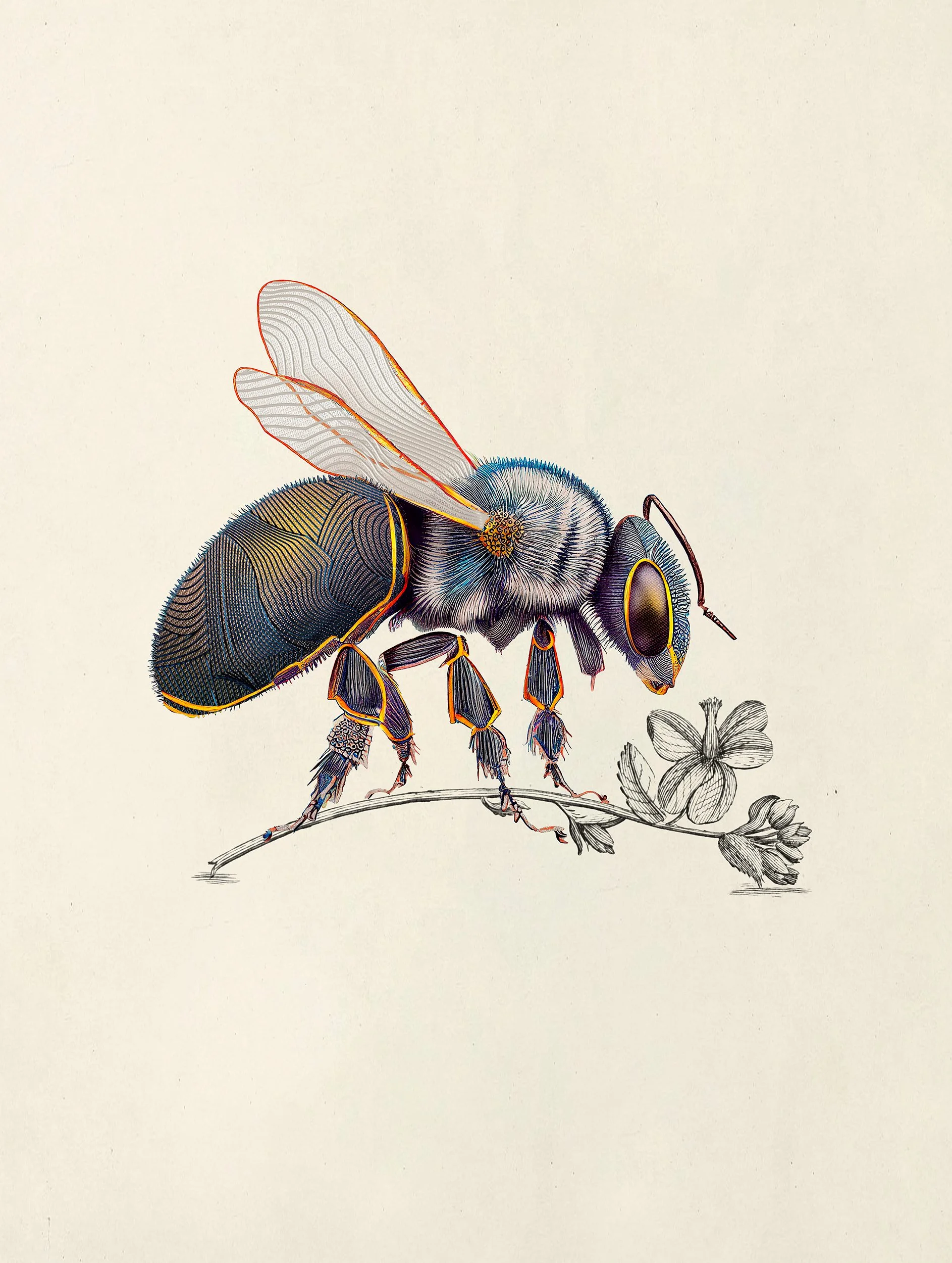 Techno Bee, Green House Collection by Moooi, illustration and branding project by Automne Studio.