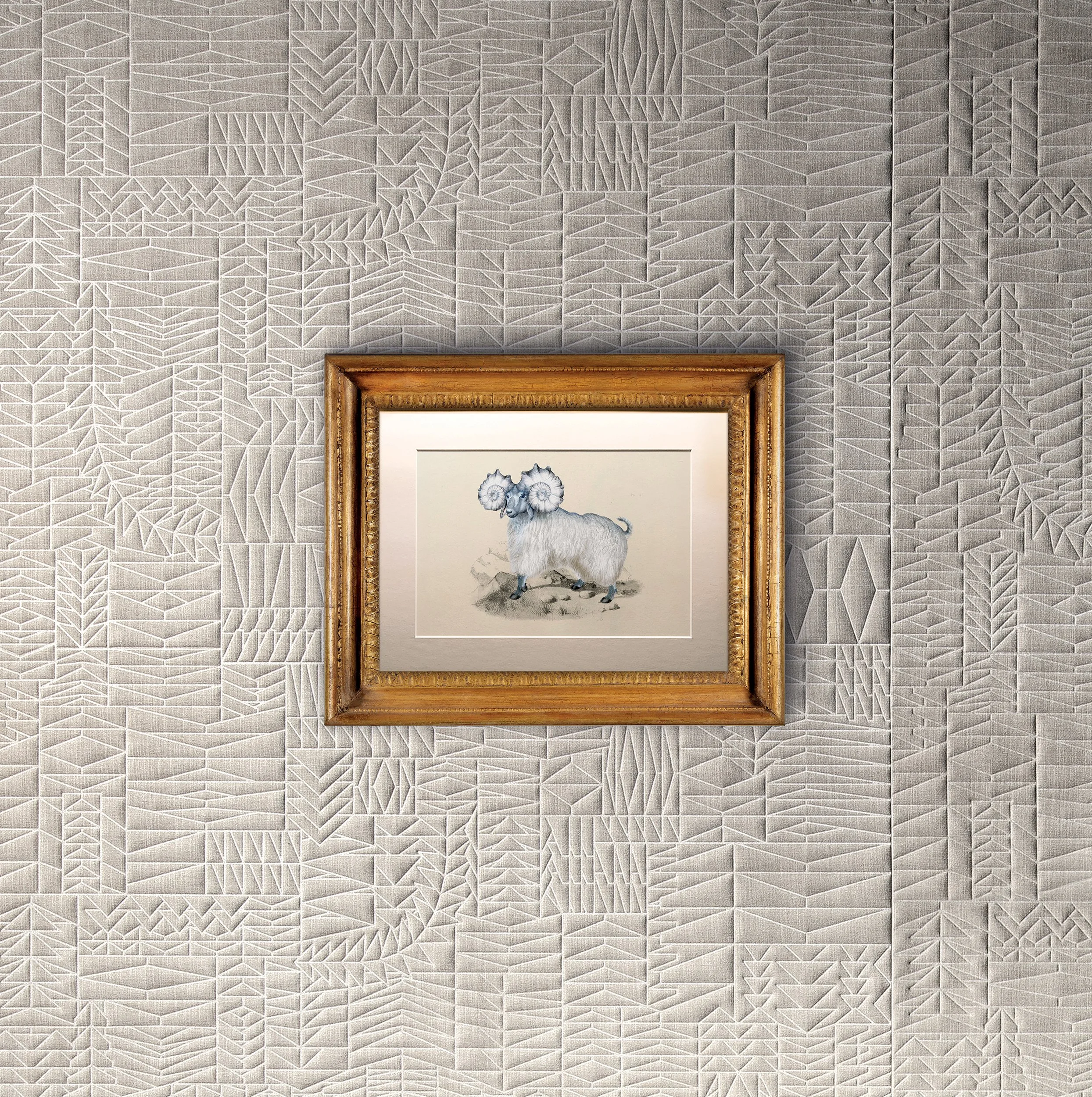 Pogo goat, Memento Moooi Medley, Extinct Animals family, illustration and visual identity by Automne Studio.