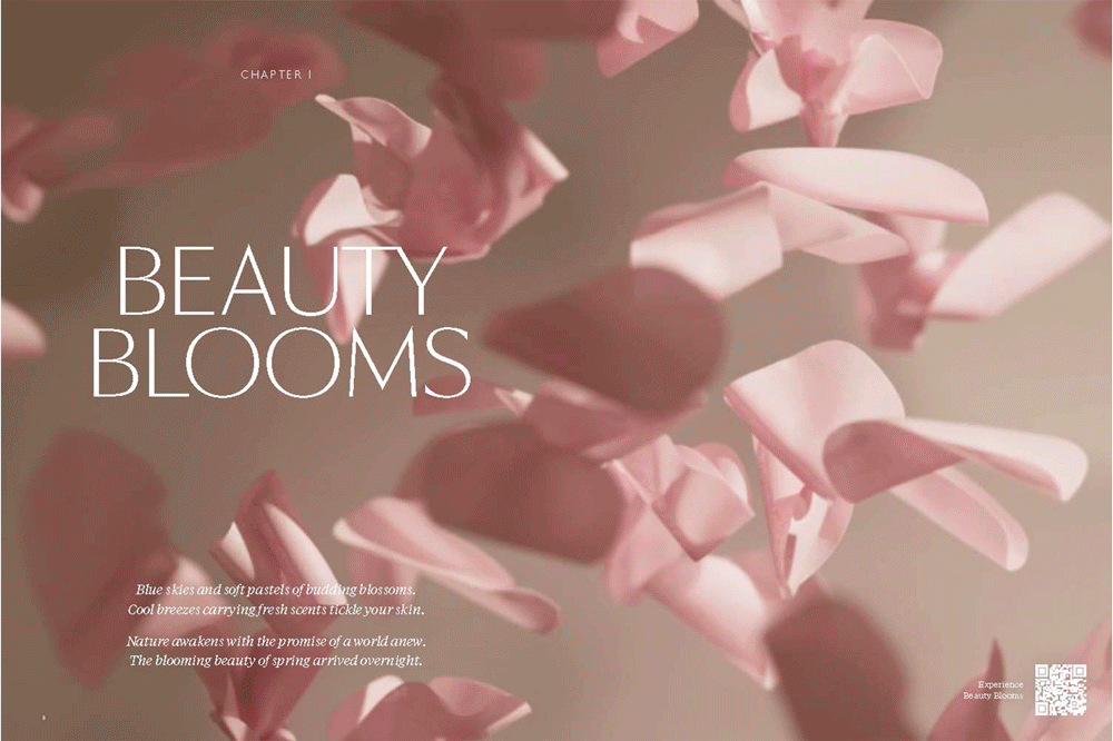 Overview of the Moooi book, editorial project by Automne Studio.